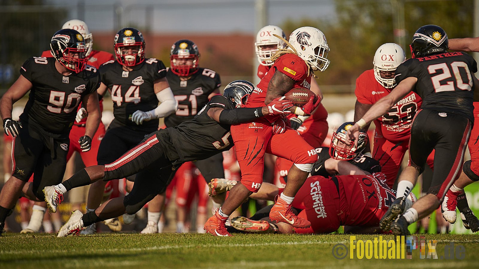 Düsseldorf Panther vs. New Yorker Lions - DPantherVsNewYorkerLions