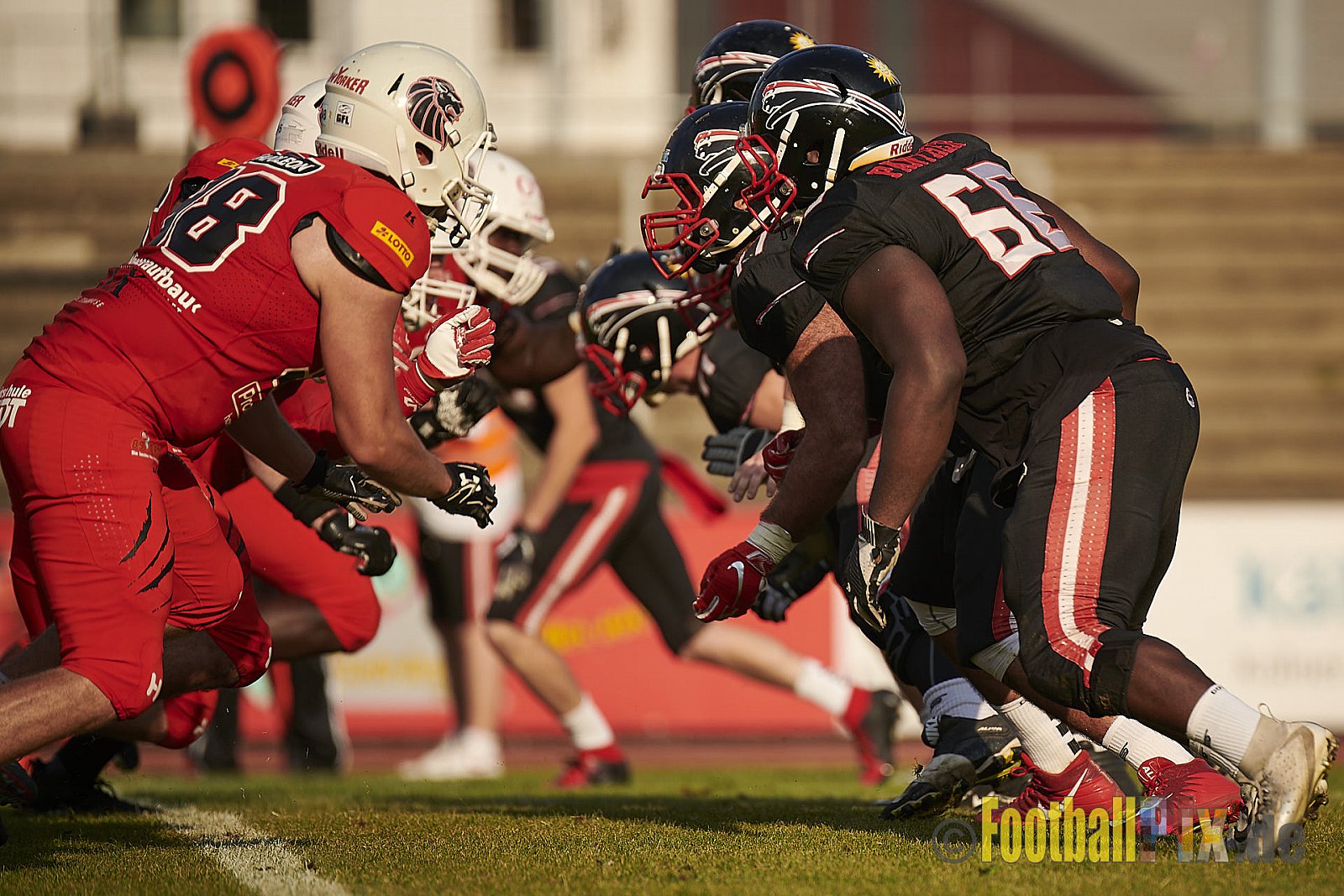 Düsseldorf Panther vs. New Yorker Lions - DPantherVsNewYorkerLions