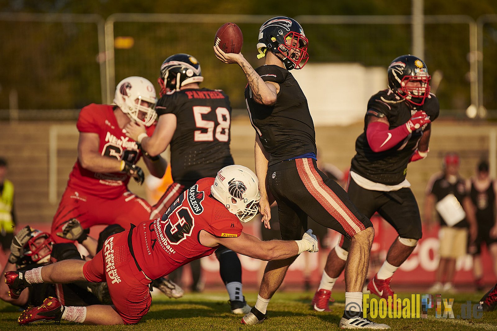 Düsseldorf Panther vs. New Yorker Lions - DPantherVsNewYorkerLions