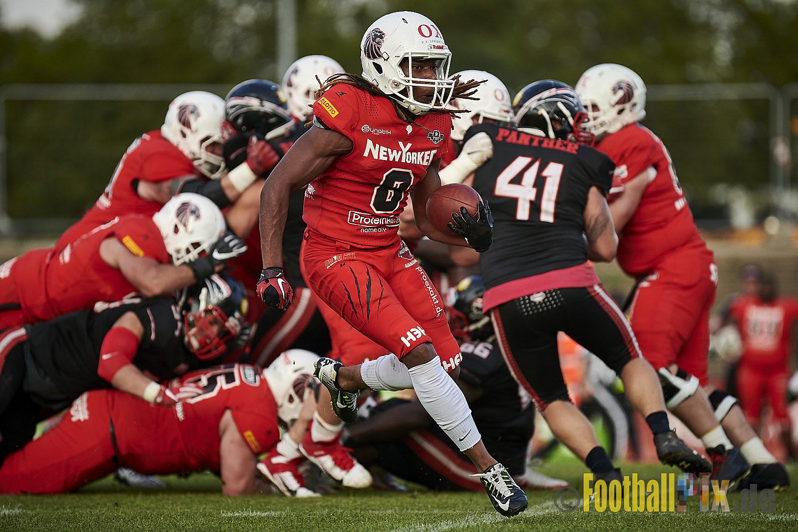 Düsseldorf Panther vs. New Yorker Lions - DPantherVsNewYorkerLions