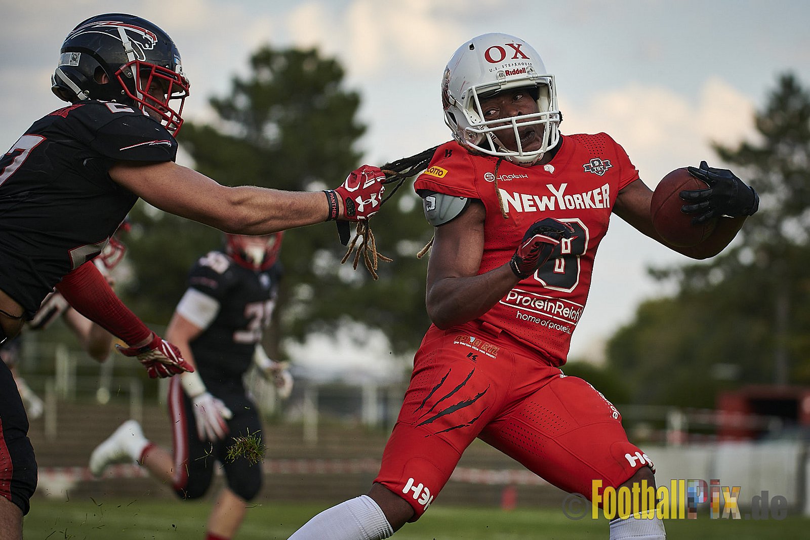 Düsseldorf Panther vs. New Yorker Lions - DPantherVsNewYorkerLions