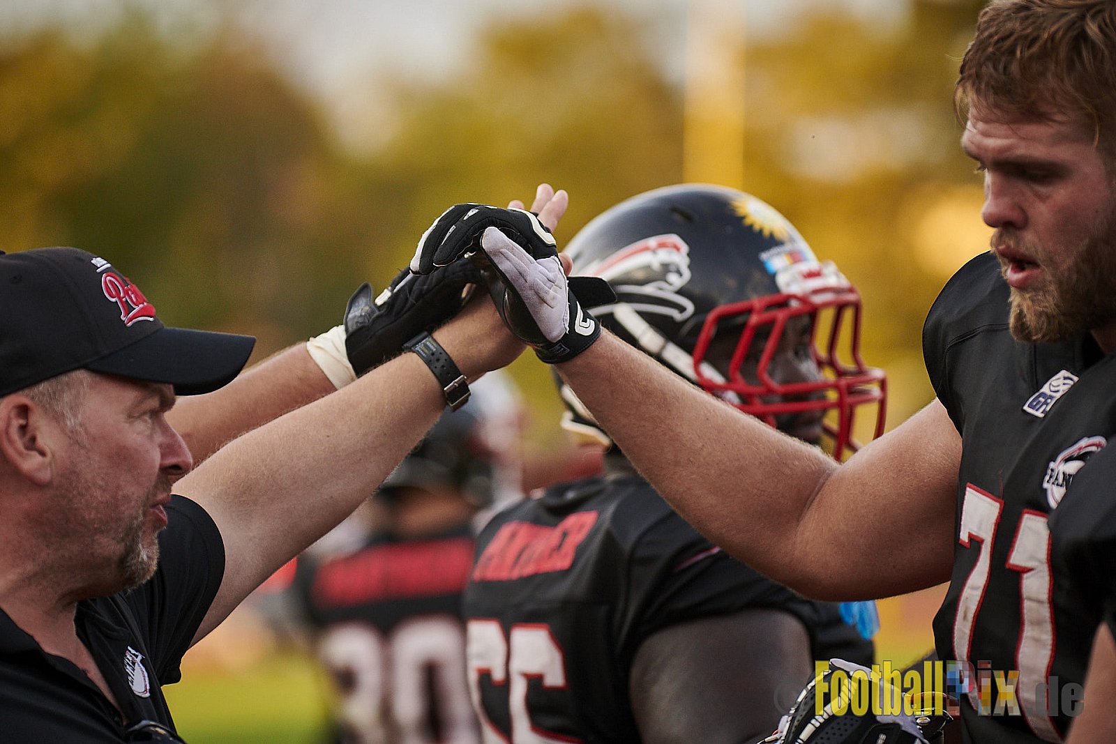 Düsseldorf Panther vs. New Yorker Lions - DPantherVsNewYorkerLions