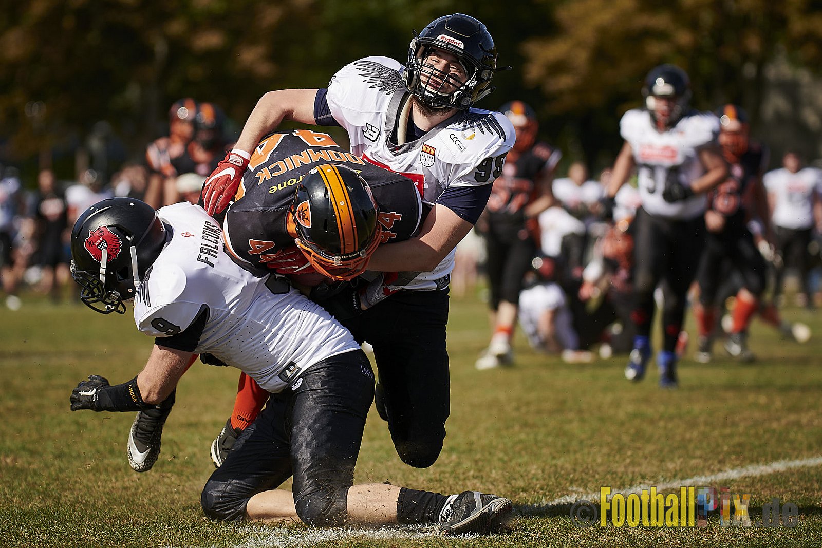 Cologne Falcons Prospects vs. Cologne Ronin - CologneFalconsProspectsVsCologneRonin