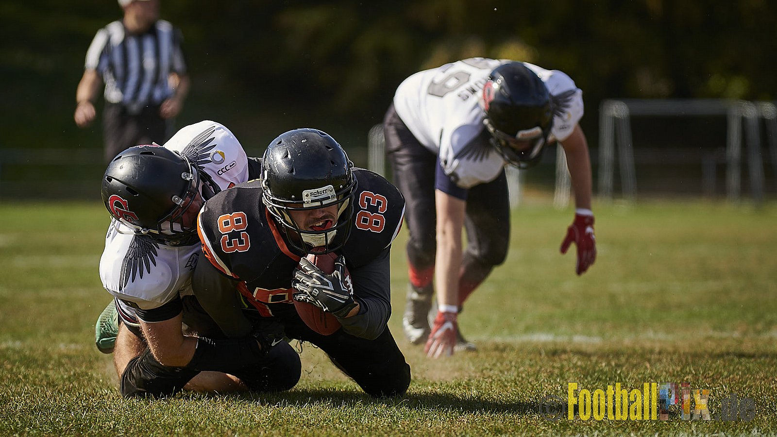 Cologne Falcons Prospects vs. Cologne Ronin - CologneFalconsProspectsVsCologneRonin
