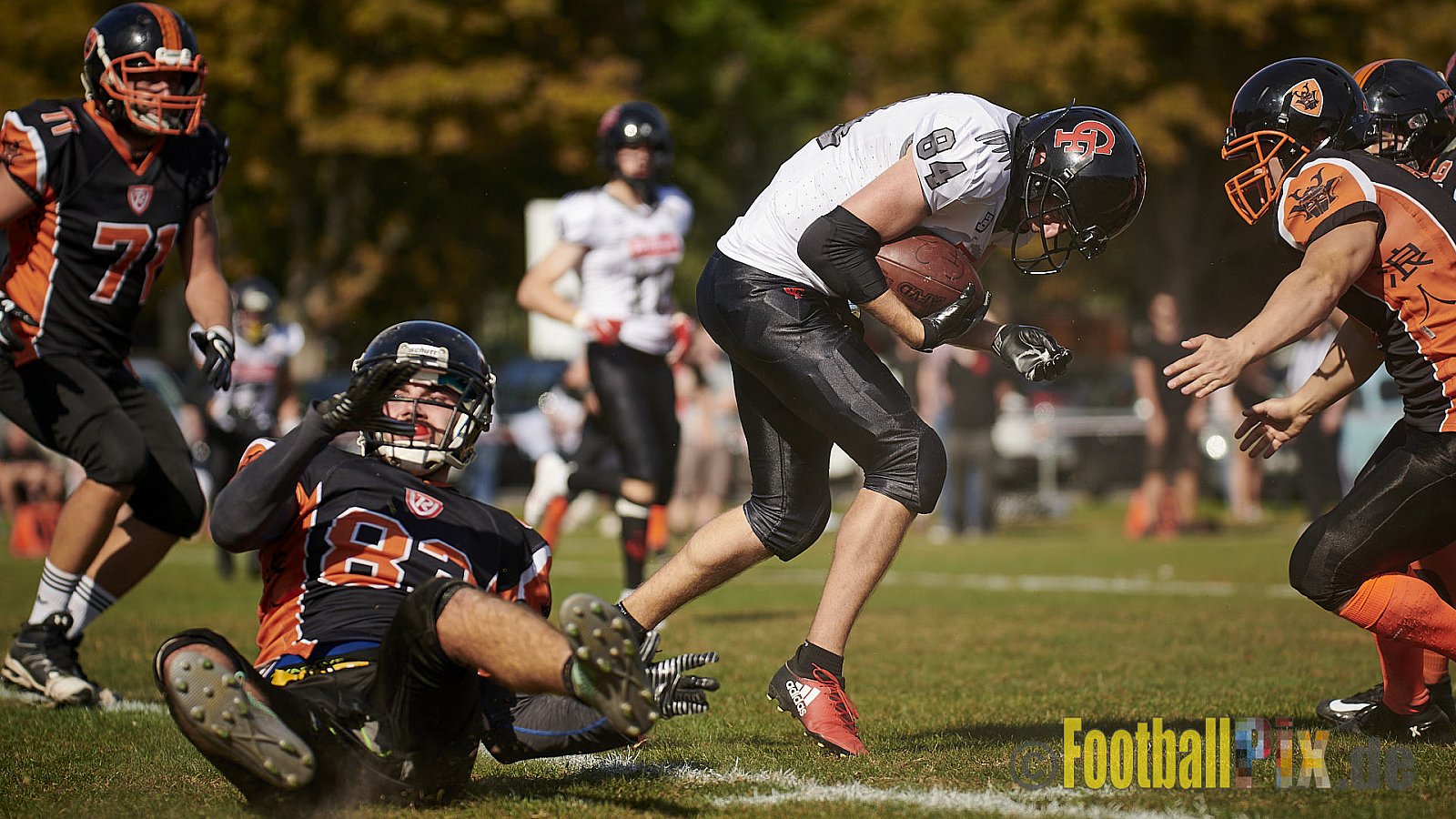 Cologne Falcons Prospects vs. Cologne Ronin - CologneFalconsProspectsVsCologneRonin