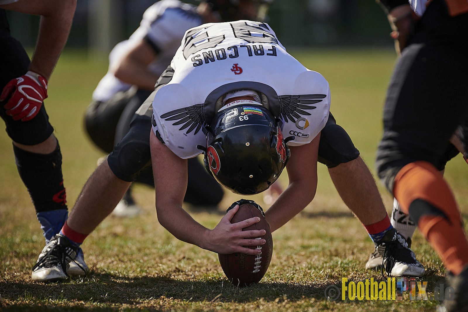 Cologne Falcons Prospects vs. Cologne Ronin - CologneFalconsProspectsVsCologneRonin
