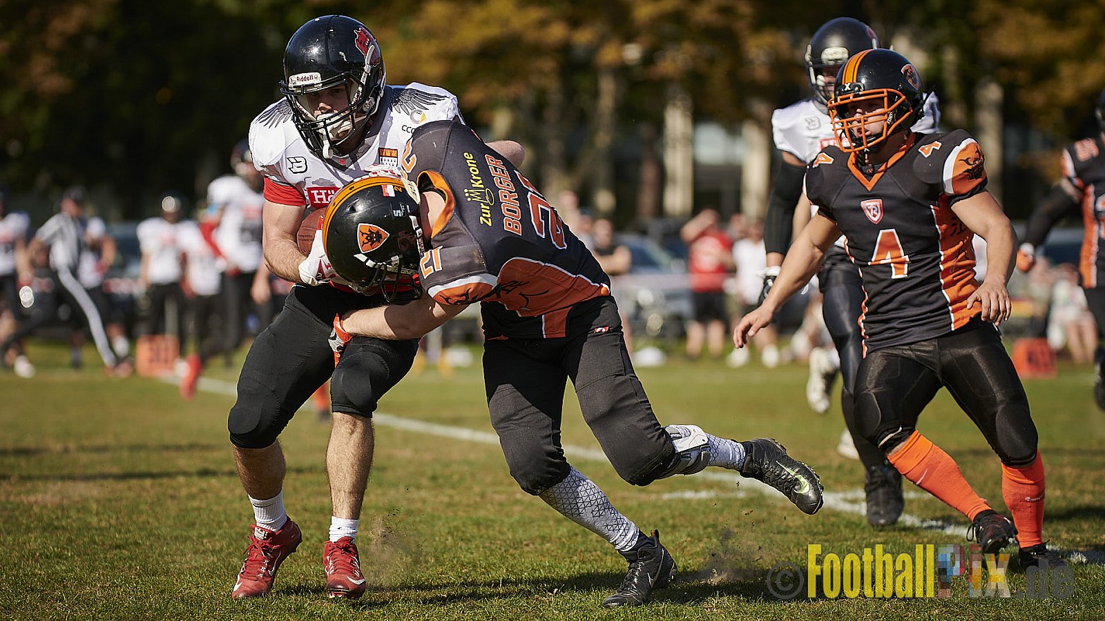 Cologne Falcons Prospects vs. Cologne Ronin - CologneFalconsProspectsVsCologneRonin