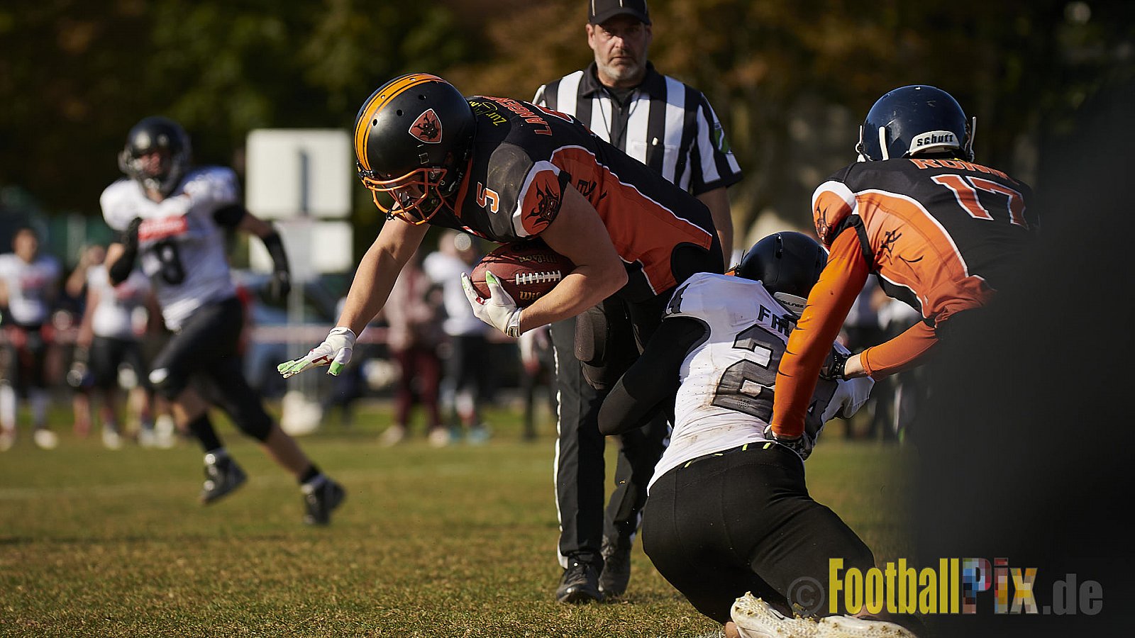 Cologne Falcons Prospects vs. Cologne Ronin - CologneFalconsProspectsVsCologneRonin