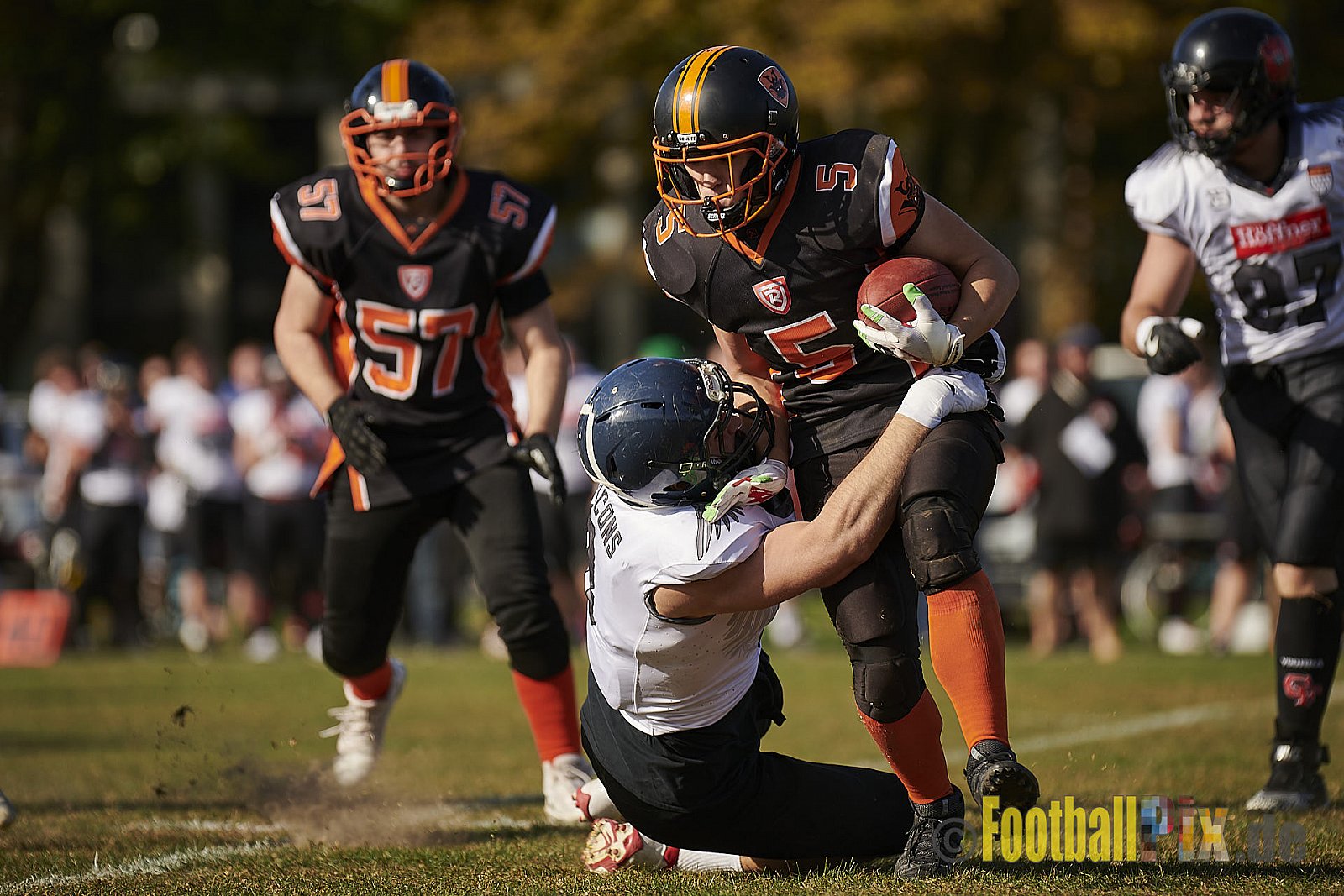 Cologne Falcons Prospects vs. Cologne Ronin - CologneFalconsProspectsVsCologneRonin