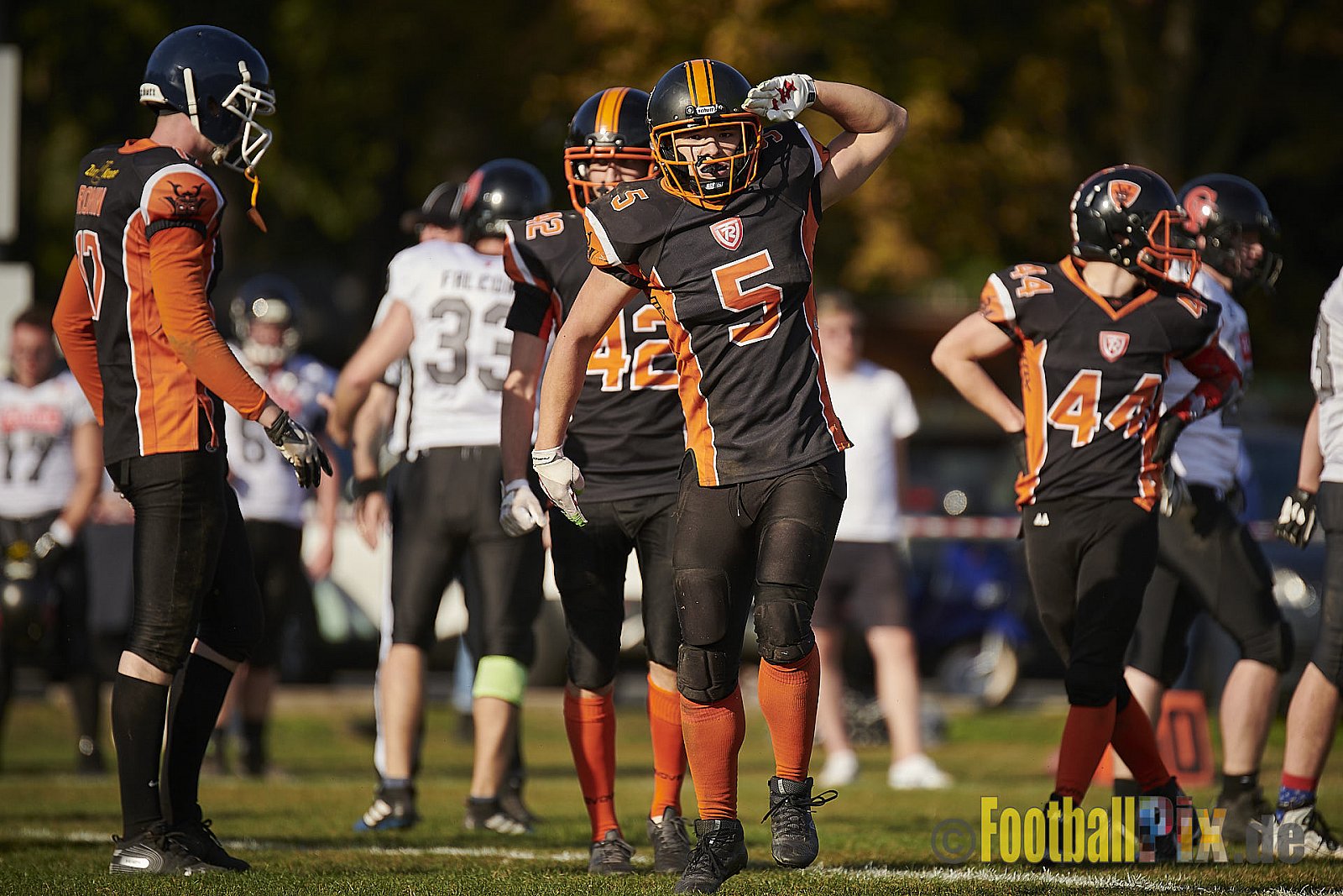 Cologne Falcons Prospects vs. Cologne Ronin - CologneFalconsProspectsVsCologneRonin