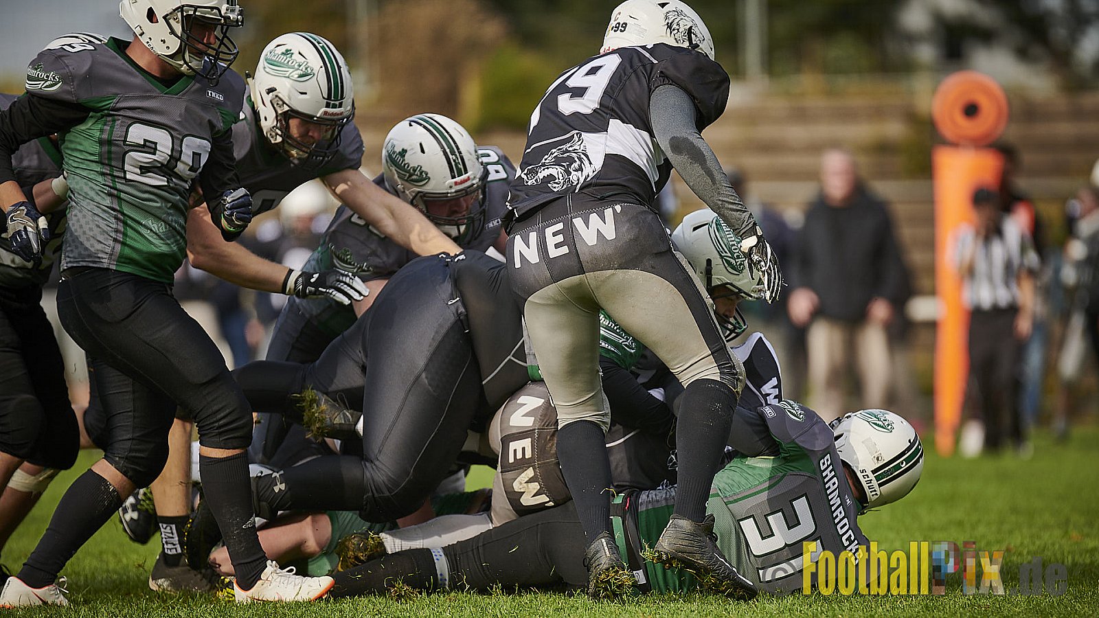 Mülheim Shamrocks vs. Mönchengladbach Wolfpack - MhShamrocksVsMgWolfpack