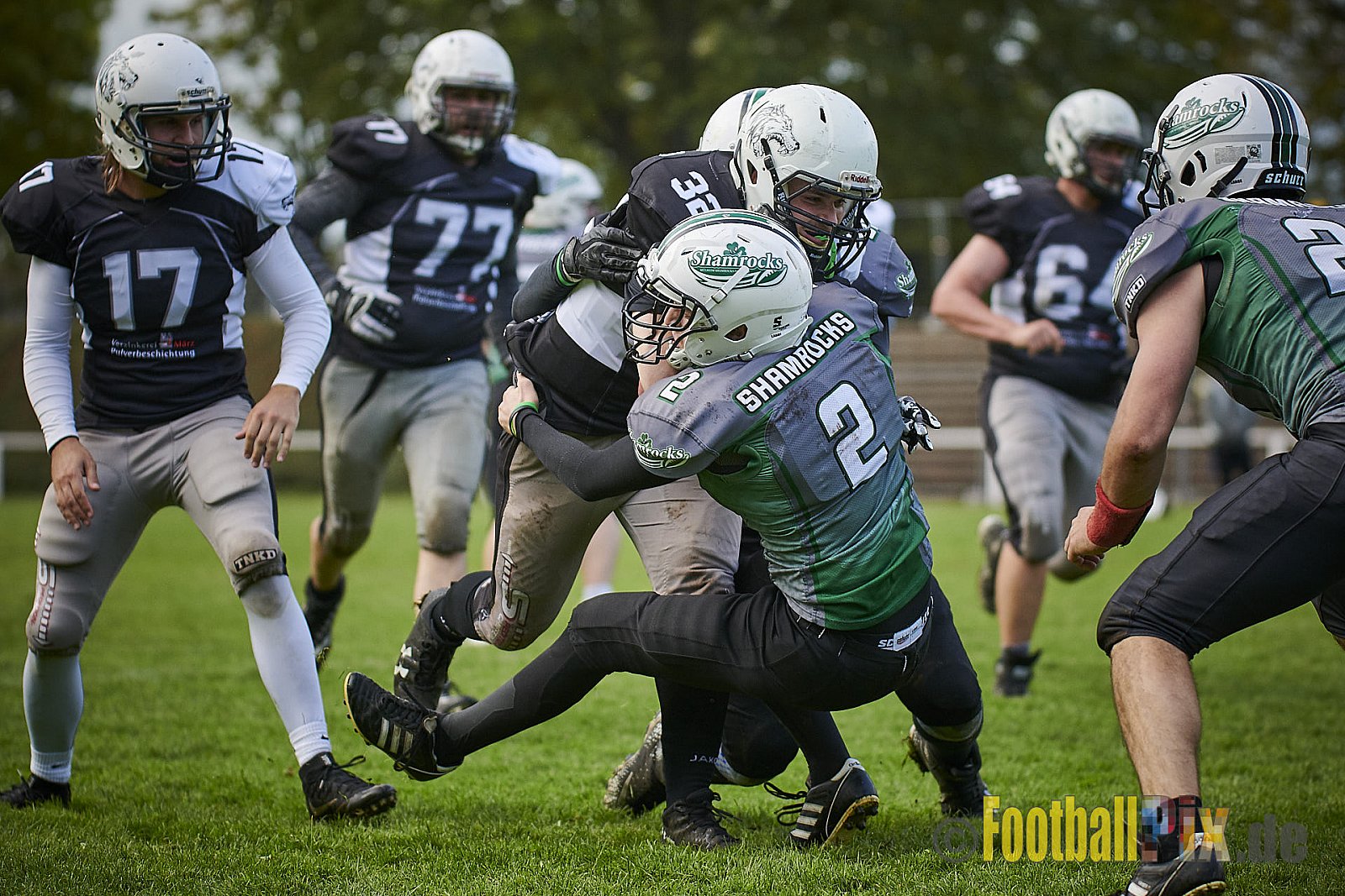 Mülheim Shamrocks vs. Mönchengladbach Wolfpack - MhShamrocksVsMgWolfpack