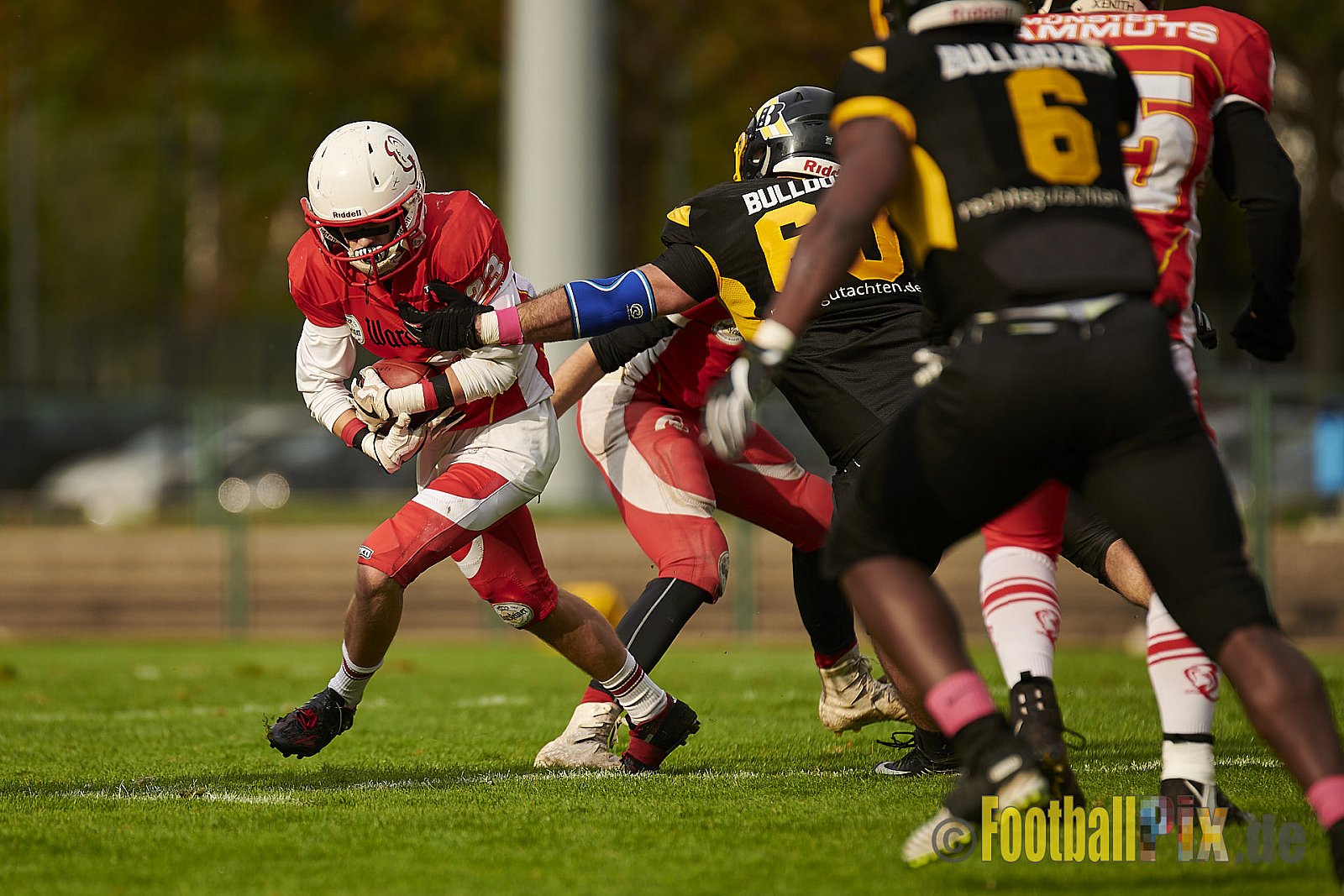 Düsseldorf Bulldozer vs. Münster Mammuts - DBulldozerVsMMammuts