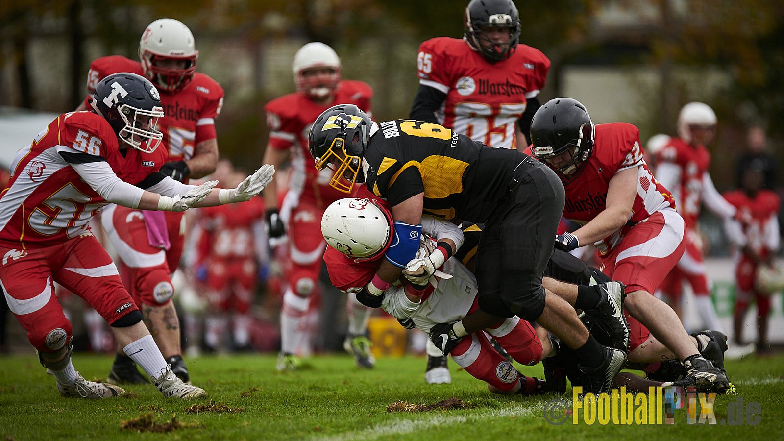 Düsseldorf Bulldozer vs. Münster Mammuts - DBulldozerVsMMammuts