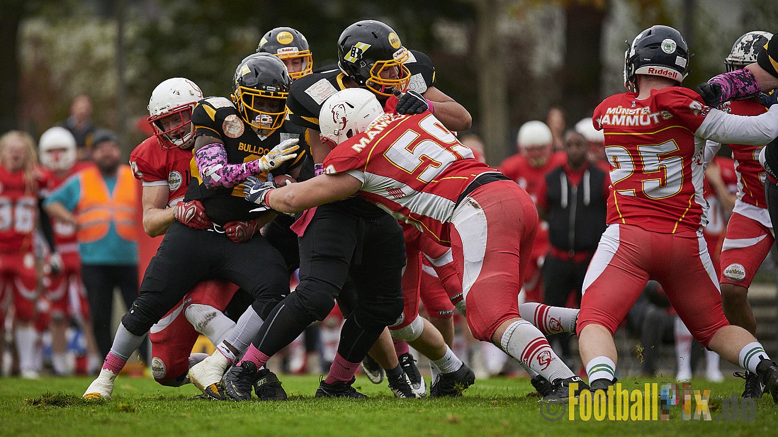 Düsseldorf Bulldozer vs. Münster Mammuts - DBulldozerVsMMammuts