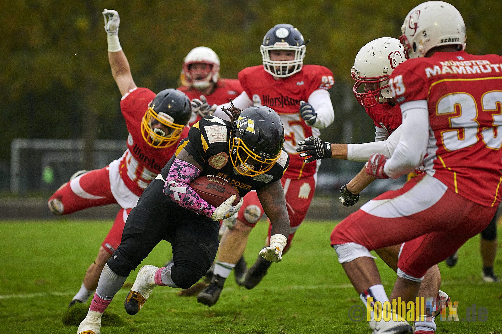Düsseldorf Bulldozer vs. Münster Mammuts - DBulldozerVsMMammuts