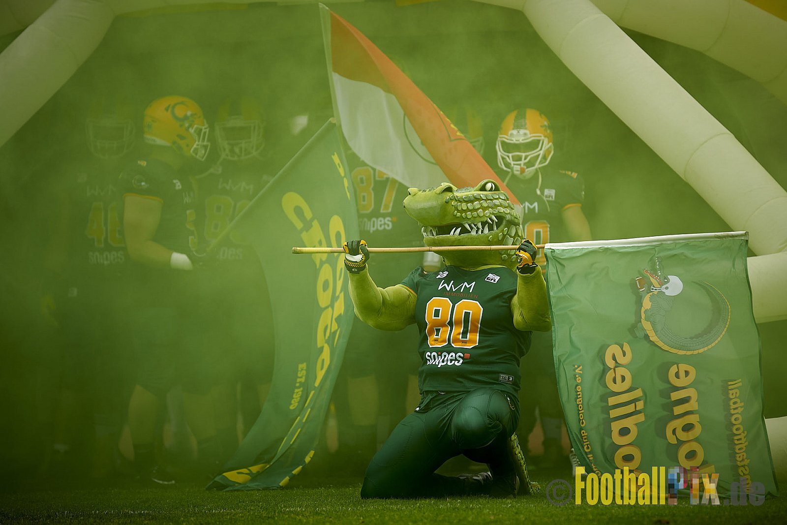 German Football League 2021 Cologne Crocodiles vs. Dresden Monarchs im Südstadion, Vorgebirgstraße 76, 50969 Köln, Punkte Endstand 48 : 41.
[Bildnummer: 2021-06-05_0043] - CologneCrocodilesVsDresdenMonarchs