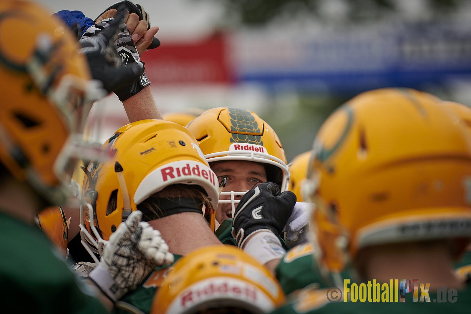German Football League 2021 Cologne Crocodiles vs. Dresden Monarchs im Südstadion, Vorgebirgstraße 76, 50969 Köln, Punkte Endstand 48 : 41.
[Bildnummer: 2021-06-05_0067] - CologneCrocodilesVsDresdenMonarchs