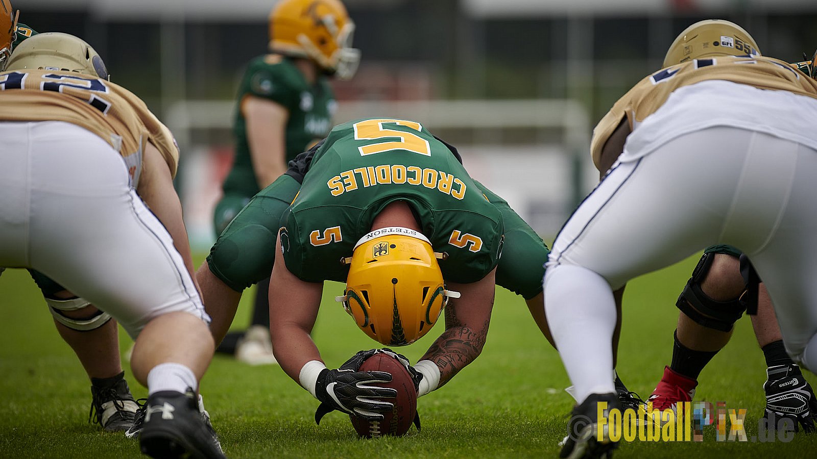 German Football League 2021 Cologne Crocodiles vs. Dresden Monarchs im Südstadion, Vorgebirgstraße 76, 50969 Köln, Punkte Endstand 48 : 41.
[Bildnummer: 2021-06-05_0129] - CologneCrocodilesVsDresdenMonarchs