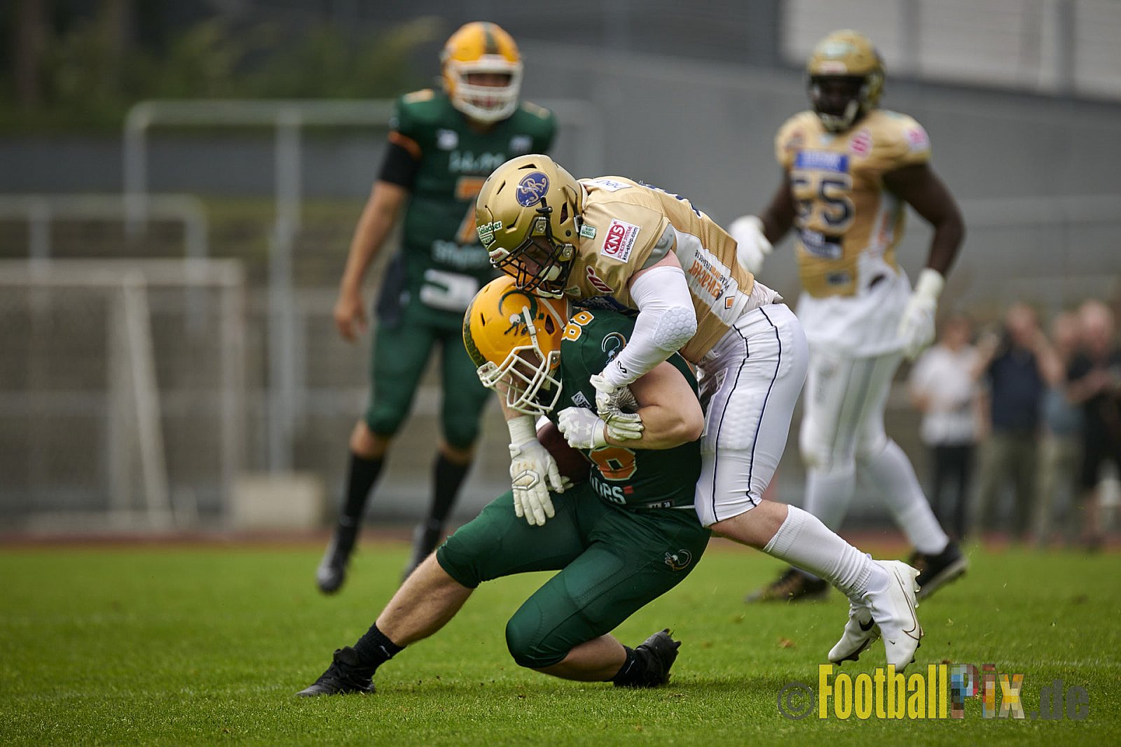 German Football League 2021 Cologne Crocodiles vs. Dresden Monarchs im Südstadion, Vorgebirgstraße 76, 50969 Köln, Punkte Endstand 48 : 41.
[Bildnummer: 2021-06-05_0148] - CologneCrocodilesVsDresdenMonarchs