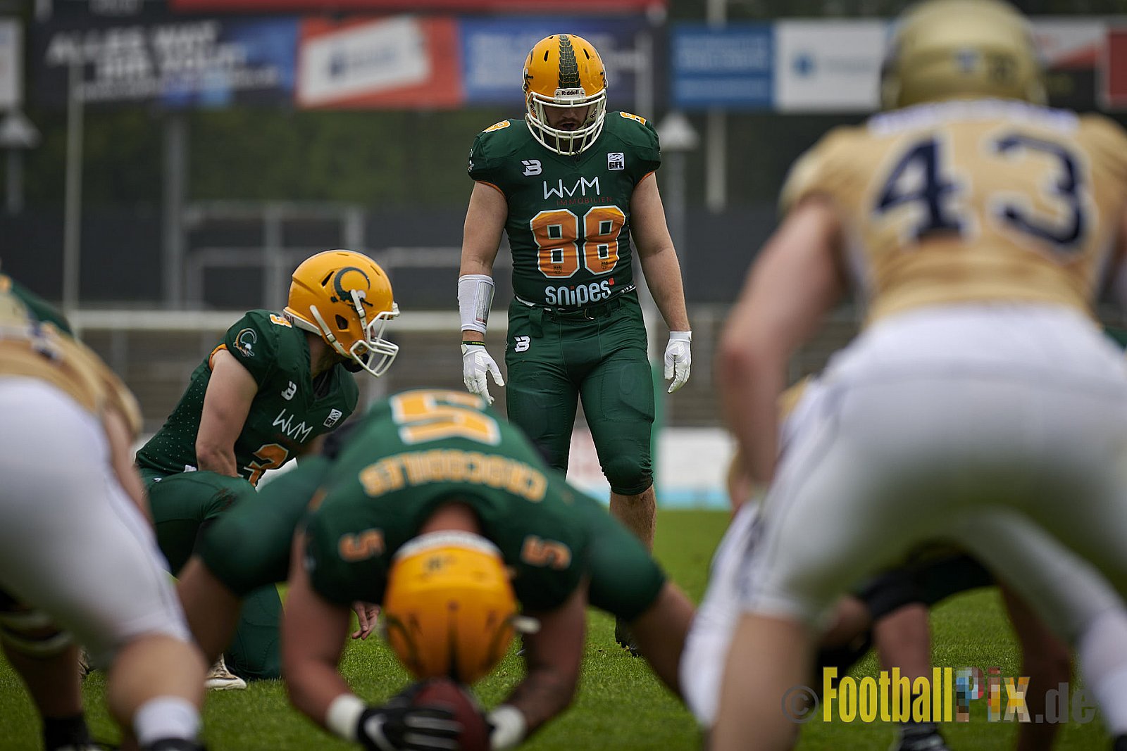 German Football League 2021 Cologne Crocodiles vs. Dresden Monarchs im Südstadion, Vorgebirgstraße 76, 50969 Köln, Punkte Endstand 48 : 41.
[Bildnummer: 2021-06-05_0187] - CologneCrocodilesVsDresdenMonarchs