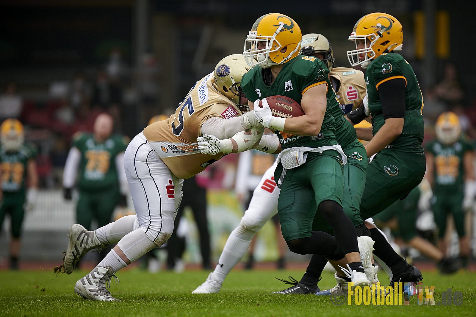 German Football League 2021 Cologne Crocodiles vs. Dresden Monarchs im Südstadion, Vorgebirgstraße 76, 50969 Köln, Punkte Endstand 48 : 41.
[Bildnummer: 2021-06-05_0204] - CologneCrocodilesVsDresdenMonarchs