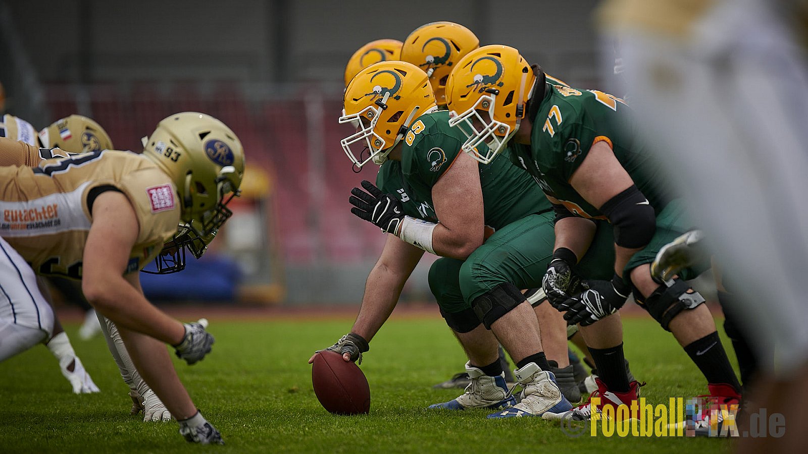 German Football League 2021 Cologne Crocodiles vs. Dresden Monarchs im Südstadion, Vorgebirgstraße 76, 50969 Köln, Punkte Endstand 48 : 41.
[Bildnummer: 2021-06-05_0211] - CologneCrocodilesVsDresdenMonarchs