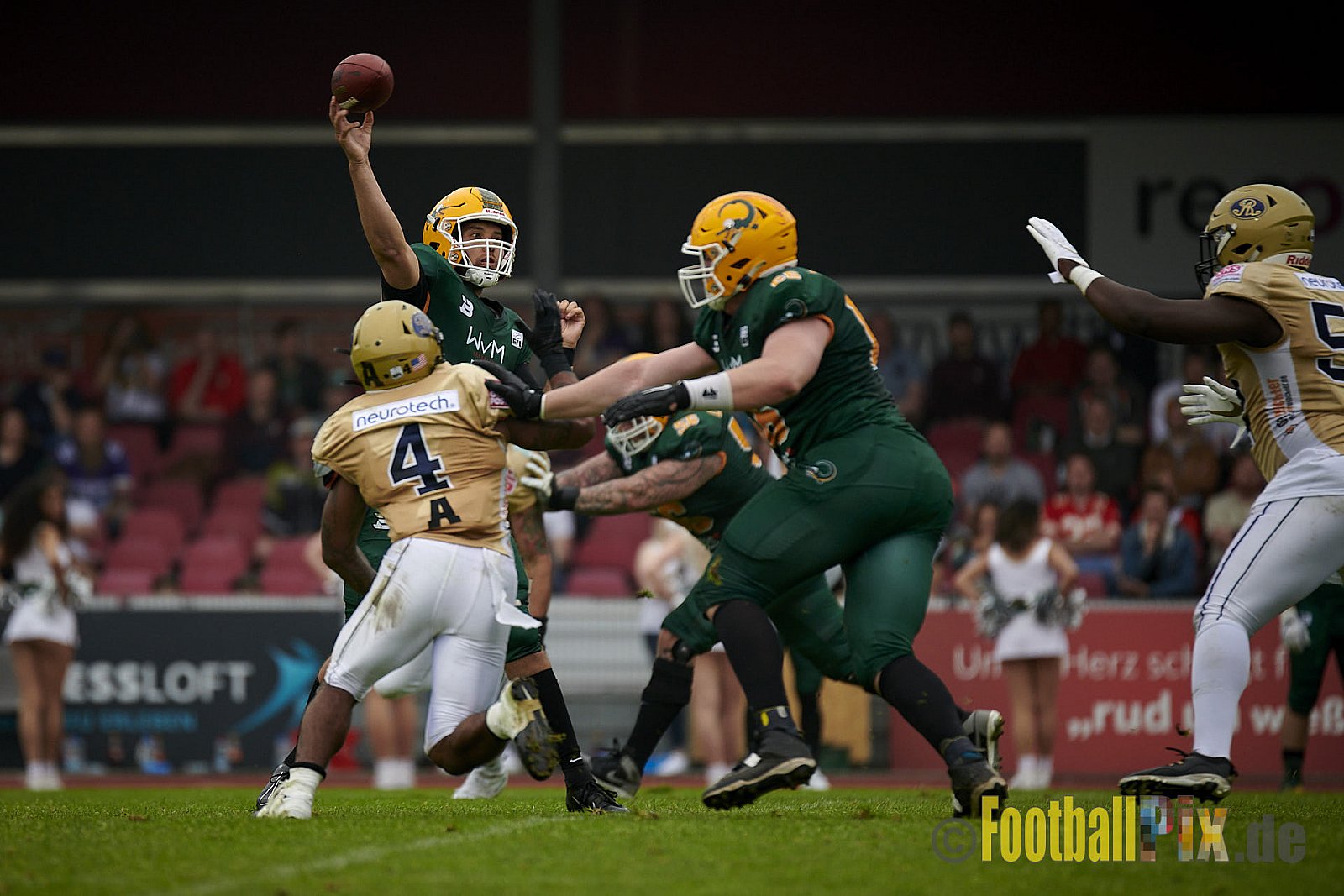 German Football League 2021 Cologne Crocodiles vs. Dresden Monarchs im Südstadion, Vorgebirgstraße 76, 50969 Köln, Punkte Endstand 48 : 41.
[Bildnummer: 2021-06-05_0309] - CologneCrocodilesVsDresdenMonarchs