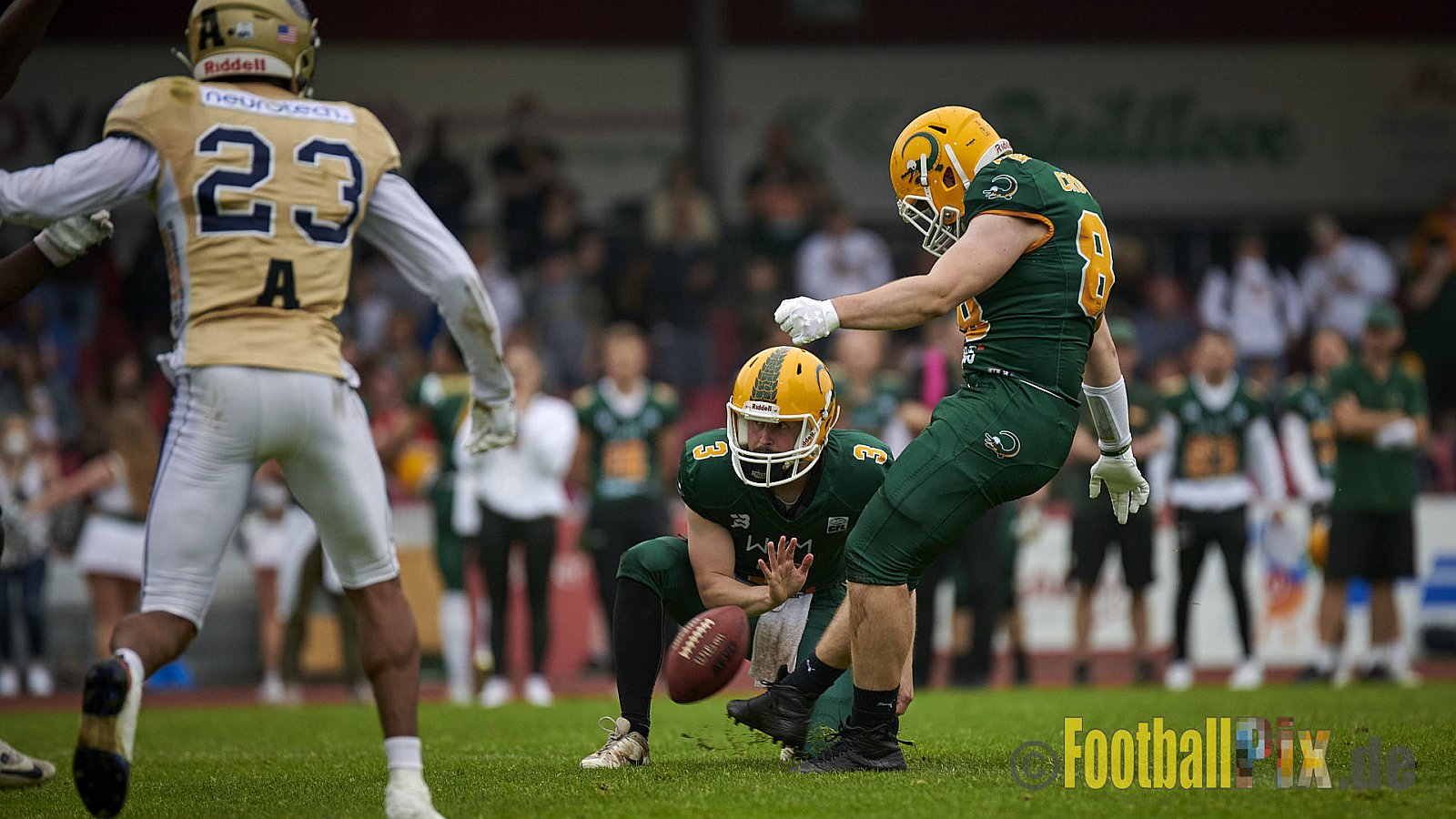 German Football League 2021 Cologne Crocodiles vs. Dresden Monarchs im Südstadion, Vorgebirgstraße 76, 50969 Köln, Punkte Endstand 48 : 41.
[Bildnummer: 2021-06-05_0359] - CologneCrocodilesVsDresdenMonarchs