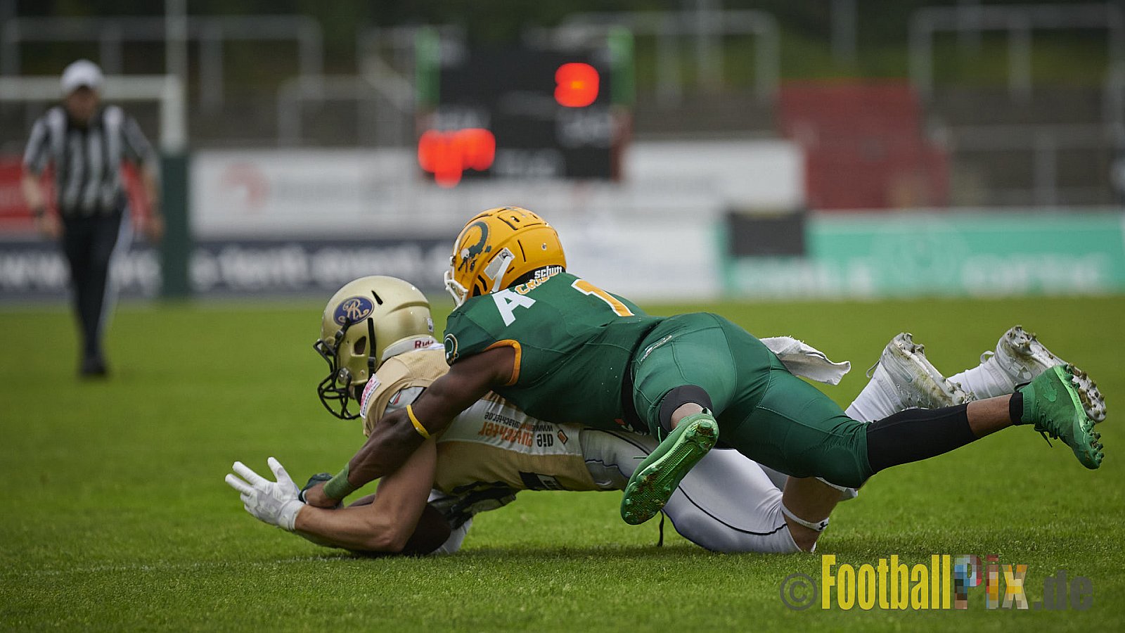 German Football League 2021 Cologne Crocodiles vs. Dresden Monarchs im Südstadion, Vorgebirgstraße 76, 50969 Köln, Punkte Endstand 48 : 41.
[Bildnummer: 2021-06-05_0365] - CologneCrocodilesVsDresdenMonarchs