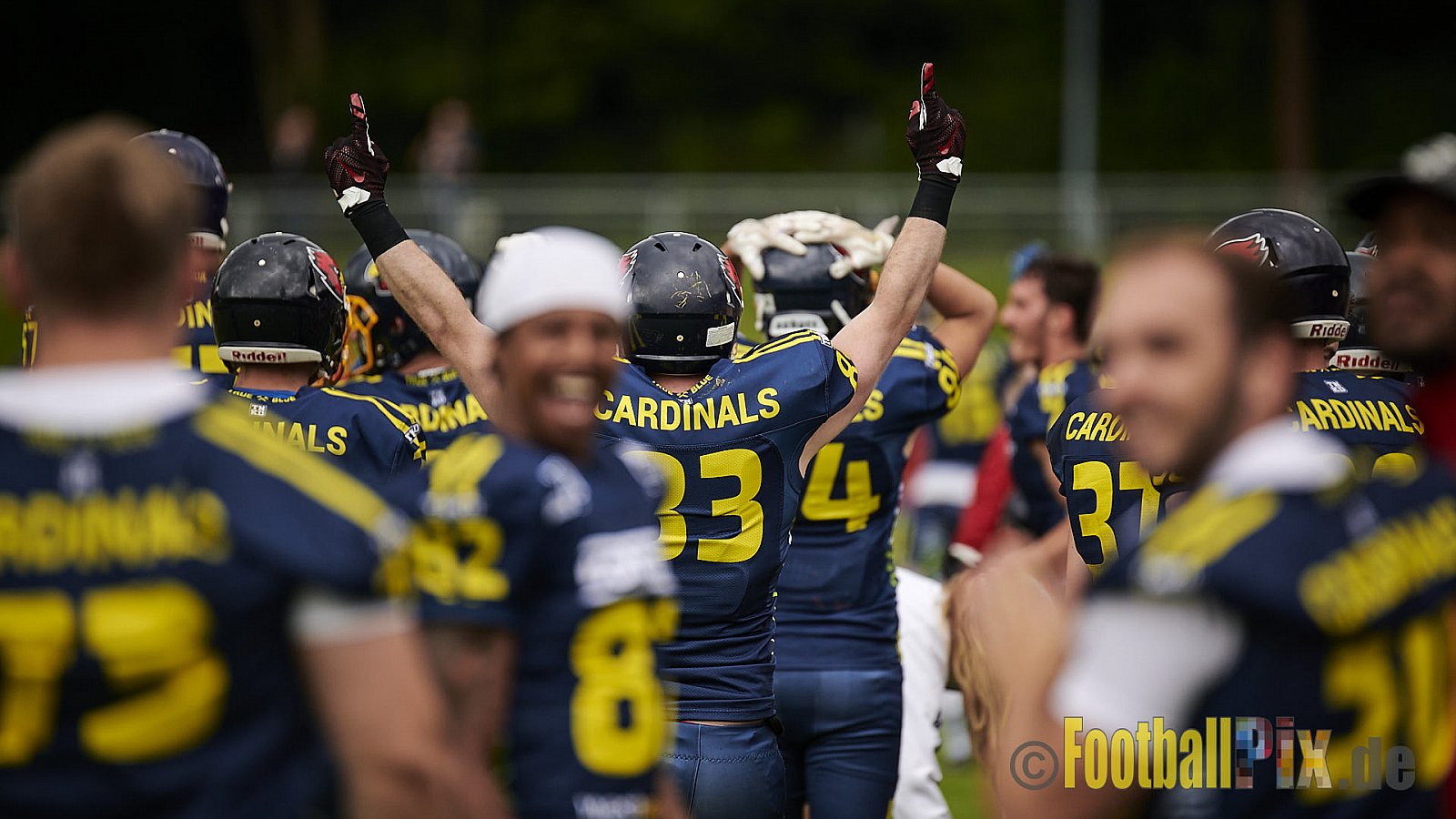 GFL2 Season 2021 Assindia Cardinals vs. Langenfeld Longhorns am 4.07.2021 im Stadion Am Hallo, Hallostraße, 45141 Essen. Endstand des Spiels 28 : 31.
[Bildnummer: 2021-07-04_0294] - AssindiaCardinalsVsLangenfeldLonghorns