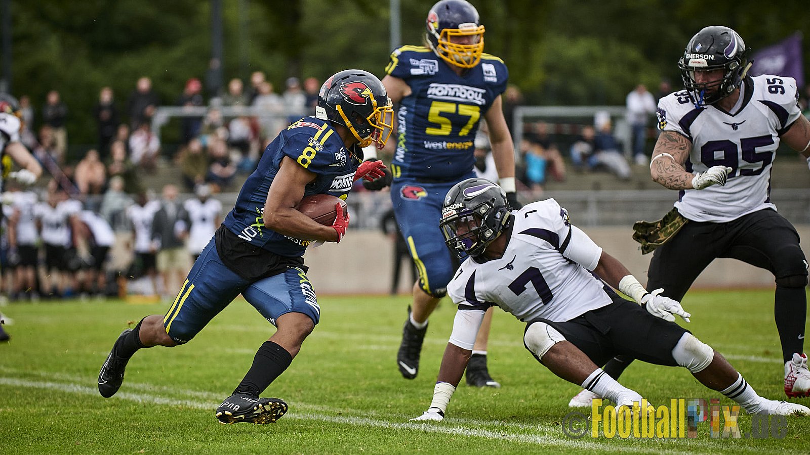 GFL2 Season 2021 Assindia Cardinals vs. Langenfeld Longhorns am 4.07.2021 im Stadion Am Hallo, Hallostraße, 45141 Essen. Endstand des Spiels 28 : 31.
[Bildnummer: 2021-07-04_0336] - AssindiaCardinalsVsLangenfeldLonghorns