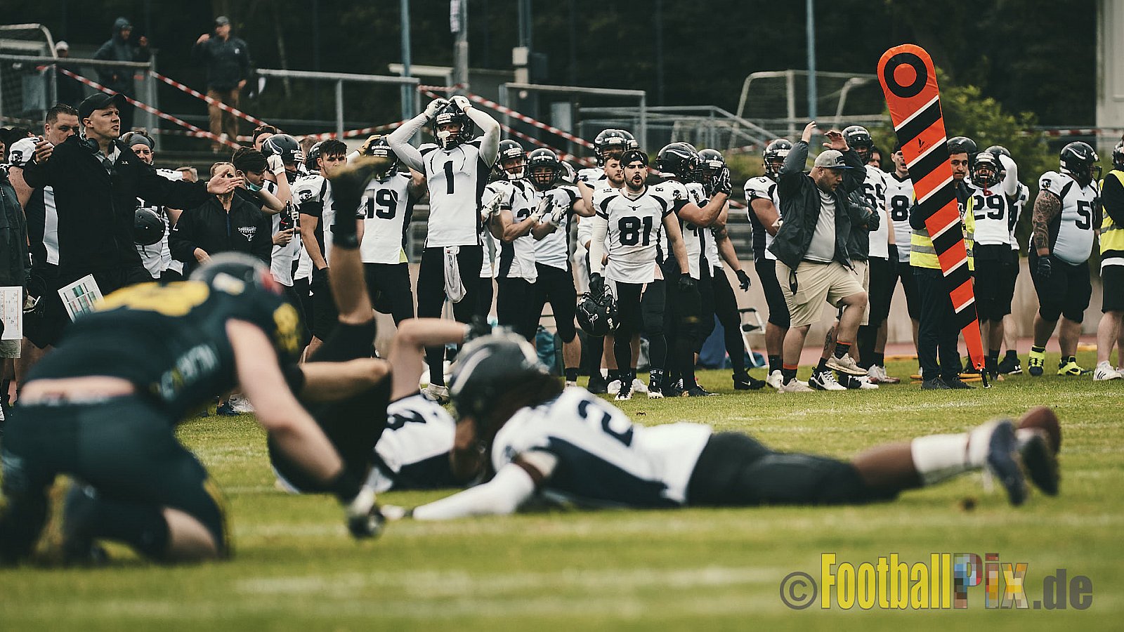 GFL2 Season 2021 Assindia Cardinals vs. Langenfeld Longhorns am 4.07.2021 im Stadion Am Hallo, Hallostraße, 45141 Essen. Endstand des Spiels 28 : 31.
[Bildnummer: 2021-07-04_0531] - AssindiaCardinalsVsLangenfeldLonghorns