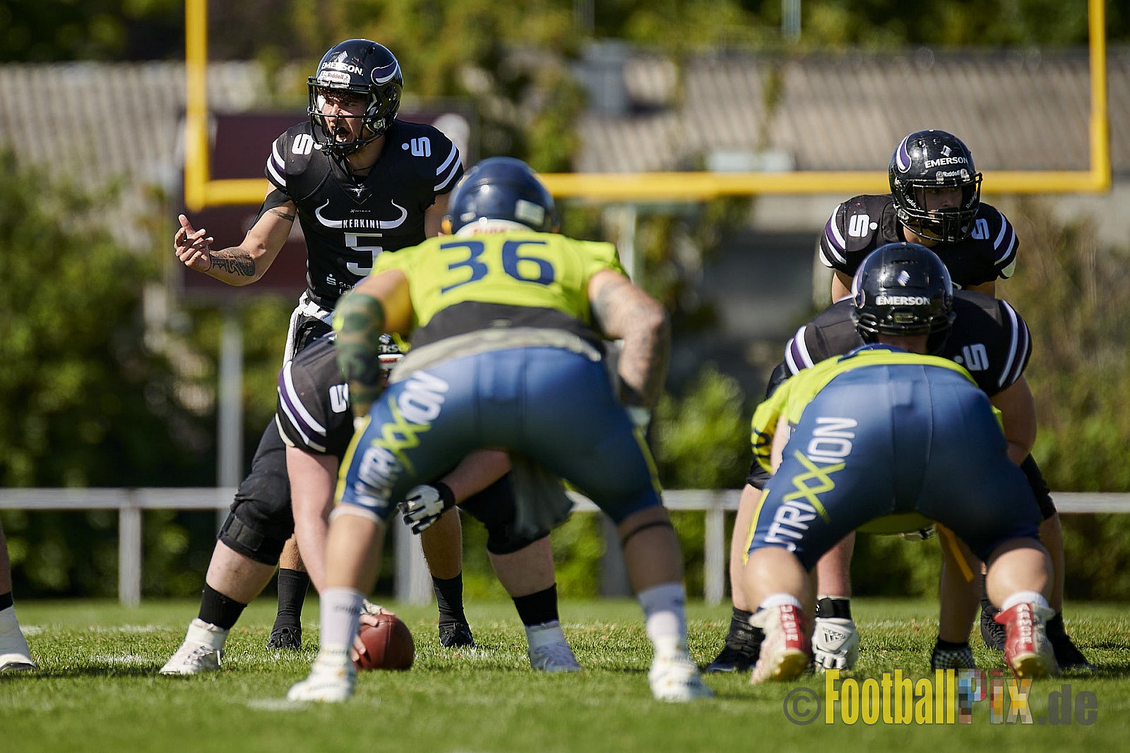 GFL2 Season 2021 Langenfeld Longhorns vs. Assindia Cardinals am 14.08.2021 im Jahnstadion, Jahnstr.4, 40764 Langenfeld. Punkte Endstand 42 : 12 (2:6/14:0/13:6/13:0)
[Bildnummer: 2021-08-14_0113] - LangenfeldLonghornsVsAssindiaCardinals