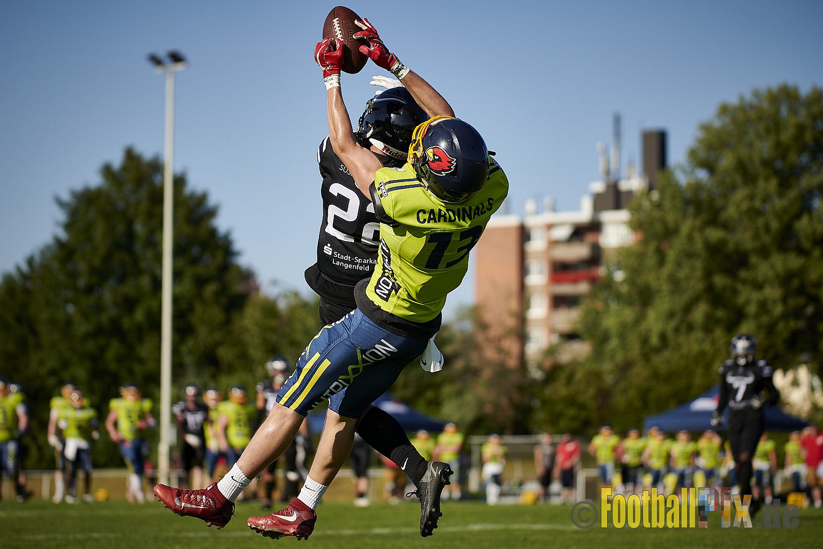 GFL2 Season 2021 Langenfeld Longhorns vs. Assindia Cardinals am 14.08.2021 im Jahnstadion, Jahnstr.4, 40764 Langenfeld. Punkte Endstand 42 : 12 (2:6/14:0/13:6/13:0)
[Bildnummer: 2021-08-14_0364] - LangenfeldLonghornsVsAssindiaCardinals