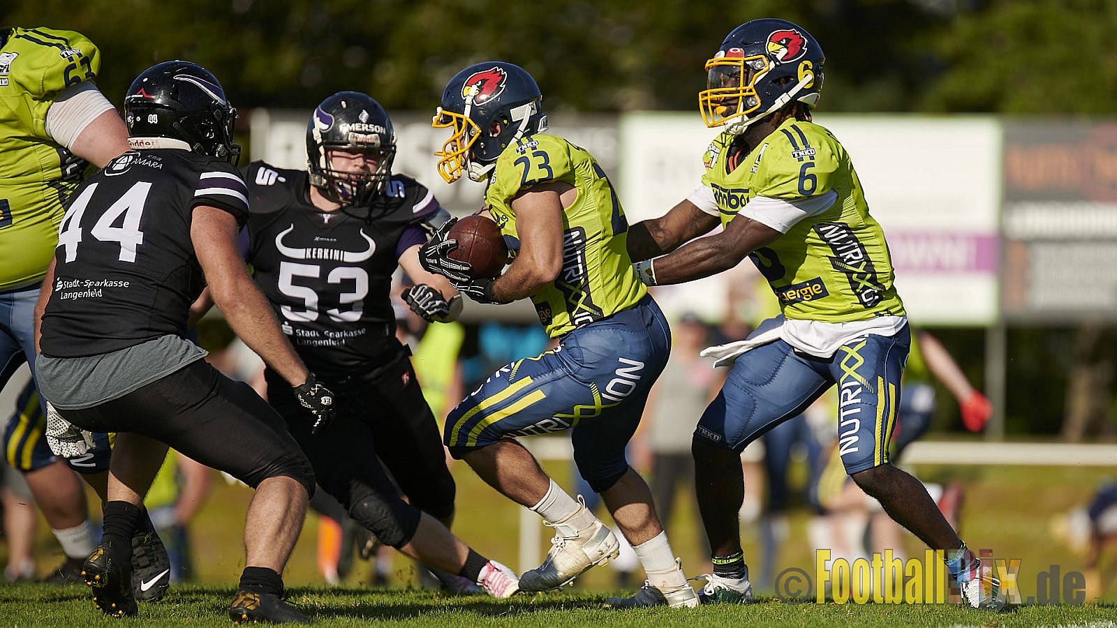 GFL2 Season 2021 Langenfeld Longhorns vs. Assindia Cardinals am 14.08.2021 im Jahnstadion, Jahnstr.4, 40764 Langenfeld. Punkte Endstand 42 : 12 (2:6/14:0/13:6/13:0)
[Bildnummer: 2021-08-14_0437] - LangenfeldLonghornsVsAssindiaCardinals