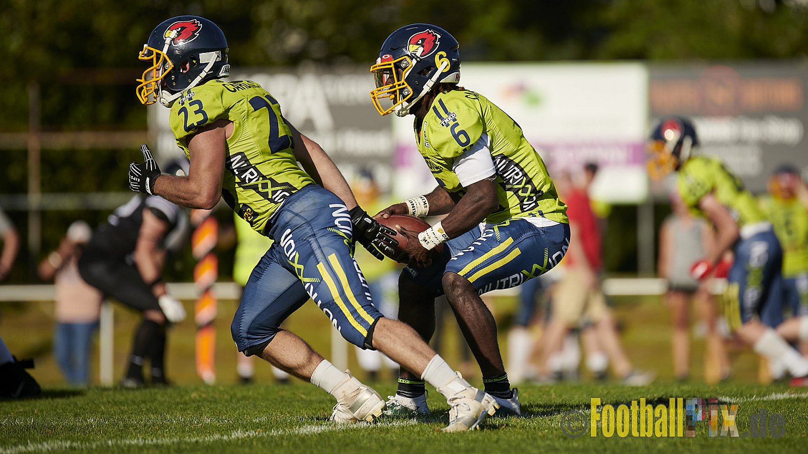 GFL2 Season 2021 Langenfeld Longhorns vs. Assindia Cardinals am 14.08.2021 im Jahnstadion, Jahnstr.4, 40764 Langenfeld. Punkte Endstand 42 : 12 (2:6/14:0/13:6/13:0)
[Bildnummer: 2021-08-14_0444] - LangenfeldLonghornsVsAssindiaCardinals