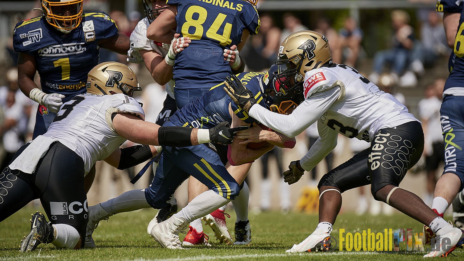 GFL2 Season 2022 Assindia Cardinals vs. Paderborn Dolphins am 22.05.2022 im Stadion Am Hallo, 45141 Essen. Spiel Endstand 14 : 31. Bildnummer: 2022-05-22_0123 - AssindiaCardinalsVsPaderbornDolphins