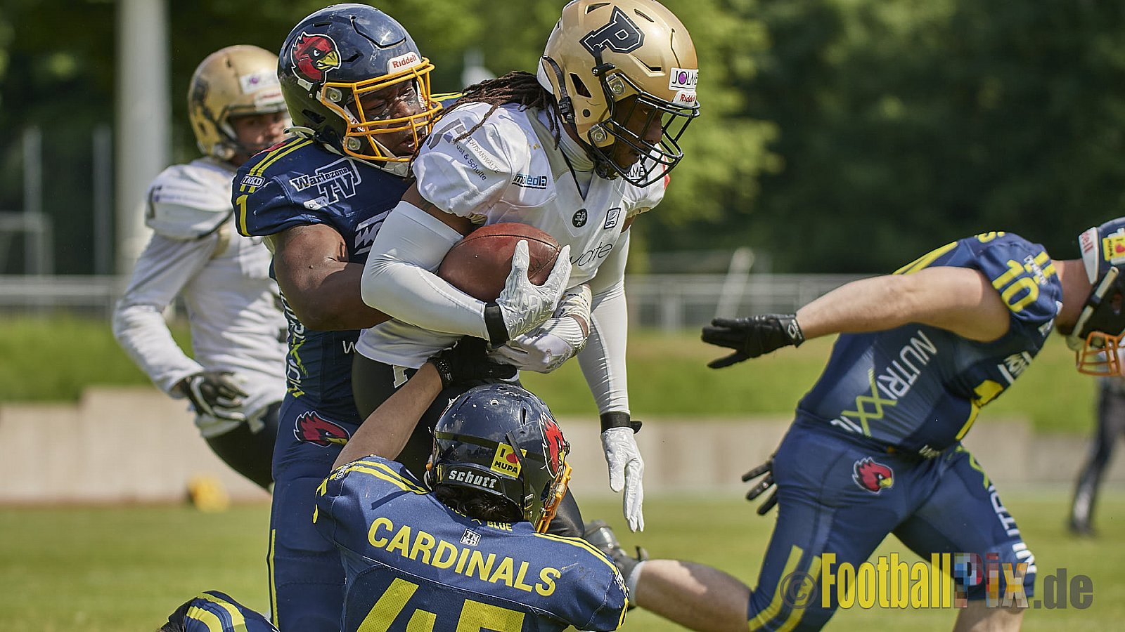 GFL2 Season 2022 Assindia Cardinals vs. Paderborn Dolphins am 22.05.2022 im Stadion Am Hallo, 45141 Essen. Spiel Endstand 14 : 31. Bildnummer: 2022-05-22_0171 - AssindiaCardinalsVsPaderbornDolphins