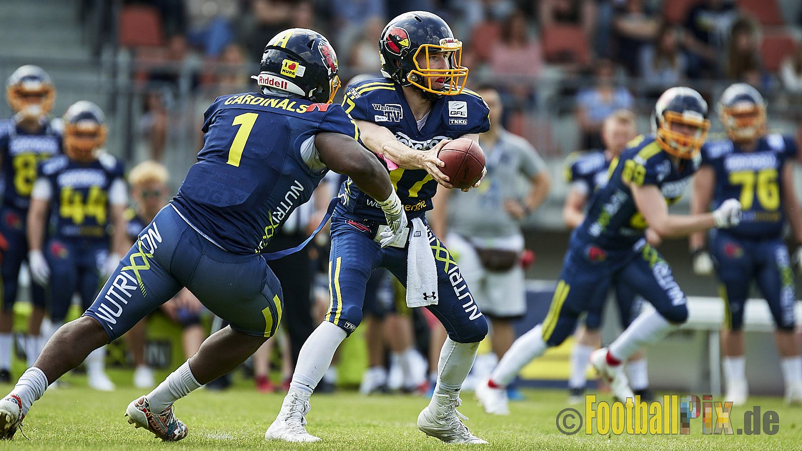 GFL2 Season 2022 Assindia Cardinals vs. Paderborn Dolphins am 22.05.2022 im Stadion Am Hallo, 45141 Essen. Spiel Endstand 14 : 31. Bildnummer: 2022-05-22_0197 - AssindiaCardinalsVsPaderbornDolphins