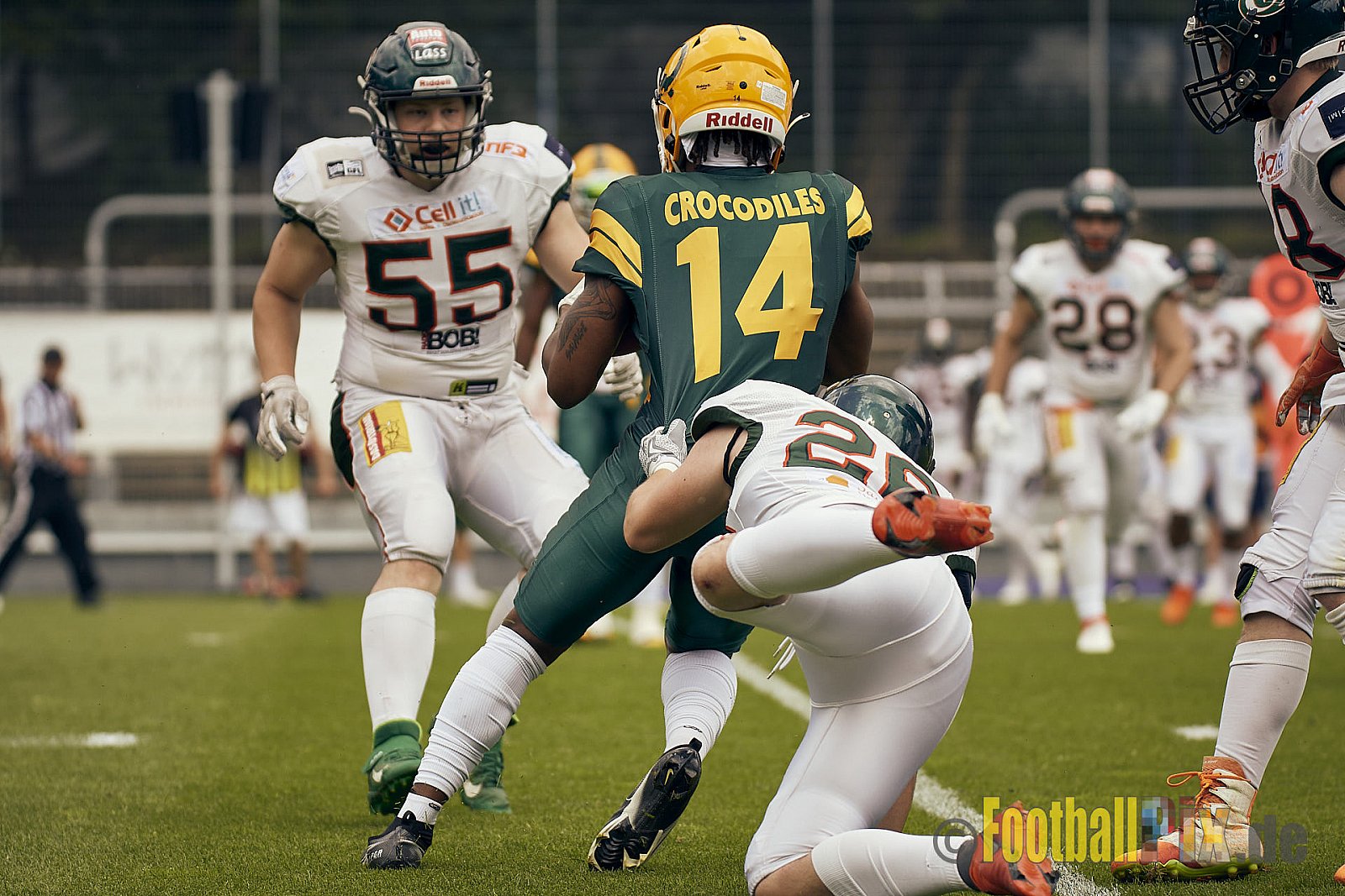 GFL Season 2022 Cologne Crocodiles vs. Kiel Baltic Hurricanes am 11.06.2022 im Stadion Stadion Höhenberg, Höhenberger Ring, 51103 Köln. Punkte Endstand 49 : 00. Bildnummer: 2022-06-11_0552 - CologneCrocodilesVsKielBalticHurricanes