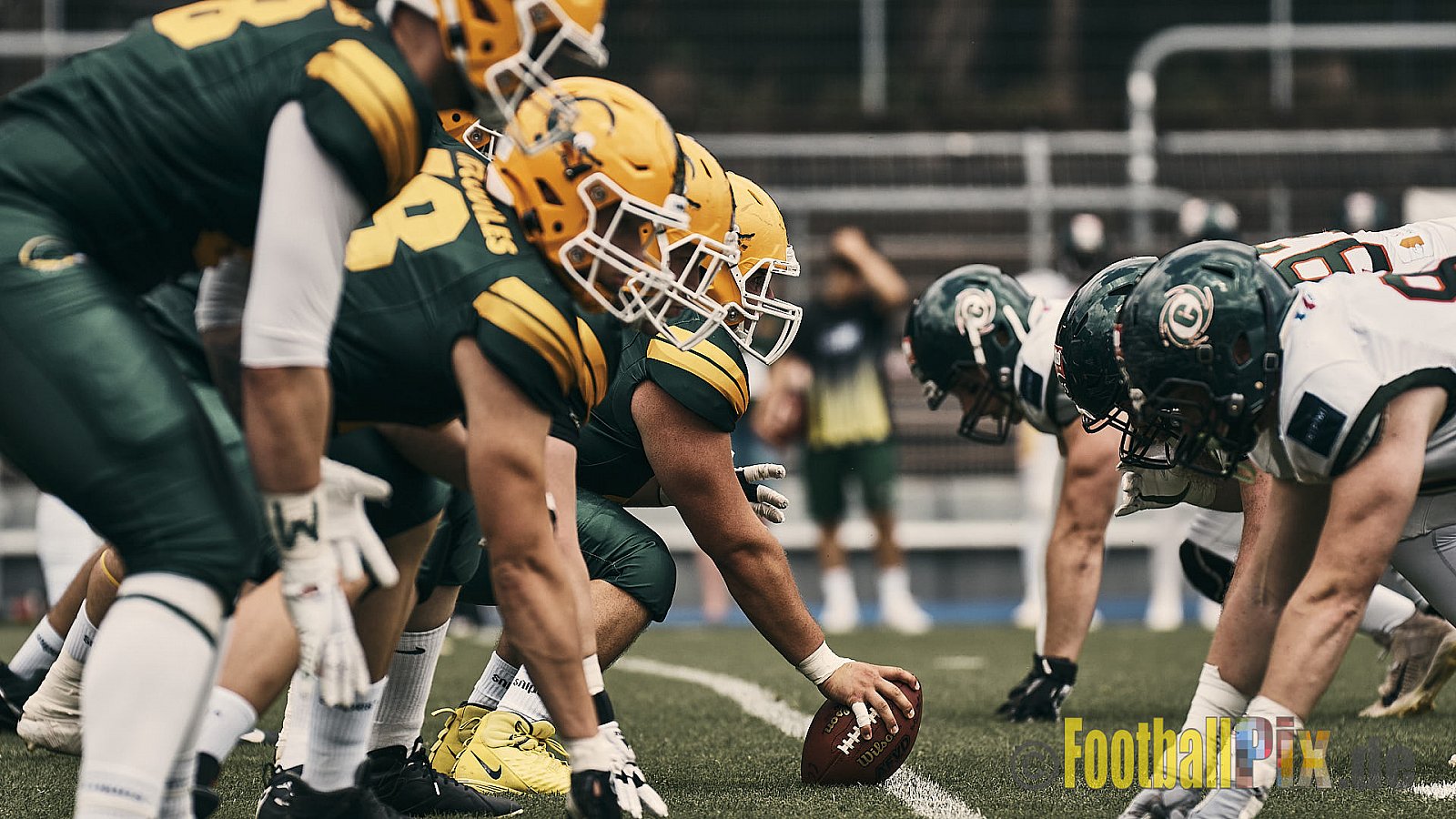 GFL Season 2022 Cologne Crocodiles vs. Kiel Baltic Hurricanes am 11.06.2022 im Stadion Stadion Höhenberg, Höhenberger Ring, 51103 Köln. Punkte Endstand 49 : 00. Bildnummer: 2022-06-11_0556 - CologneCrocodilesVsKielBalticHurricanes