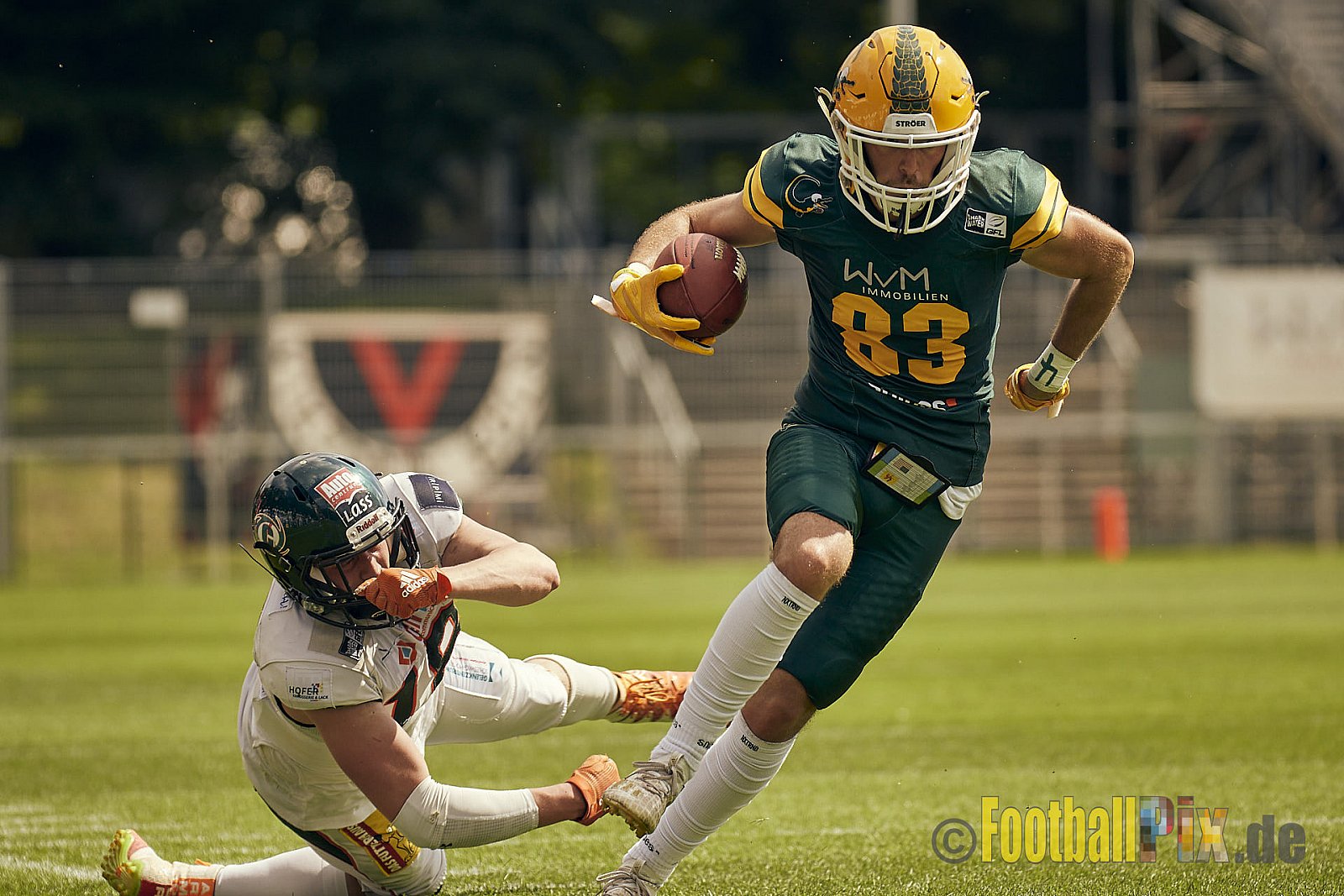 GFL Season 2022 Cologne Crocodiles vs. Kiel Baltic Hurricanes am 11.06.2022 im Stadion Stadion Höhenberg, Höhenberger Ring, 51103 Köln. Punkte Endstand 49 : 00. Bildnummer: 2022-06-11_0699 - CologneCrocodilesVsKielBalticHurricanes