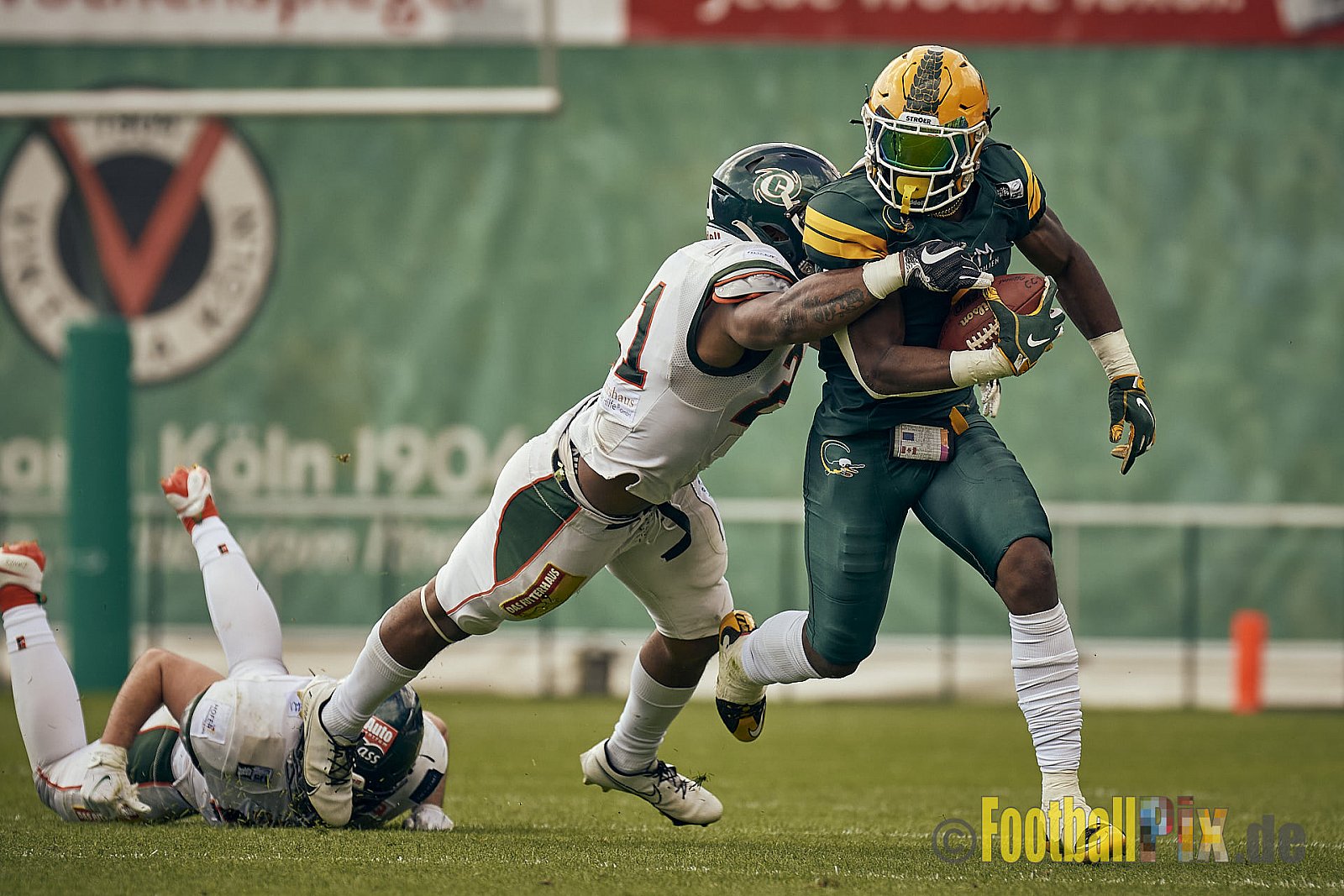 GFL Season 2022 Cologne Crocodiles vs. Kiel Baltic Hurricanes am 11.06.2022 im Stadion Stadion Höhenberg, Höhenberger Ring, 51103 Köln. Punkte Endstand 49 : 00. Bildnummer: 2022-06-11_0878 - CologneCrocodilesVsKielBalticHurricanes