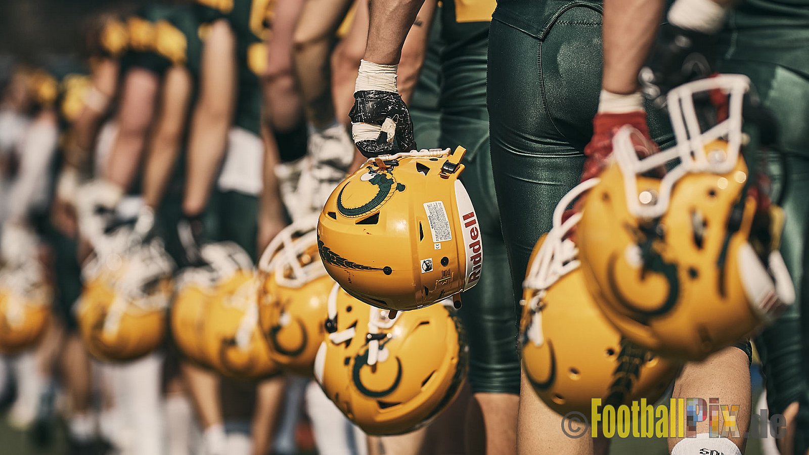 GFL Season 2022 Cologne Crocodiles vs. Kiel Baltic Hurricanes am 11.06.2022 im Stadion Stadion Höhenberg, Höhenberger Ring, 51103 Köln. Punkte Endstand 49 : 00. Bildnummer: 2022-06-11_1068 - CologneCrocodilesVsKielBalticHurricanes