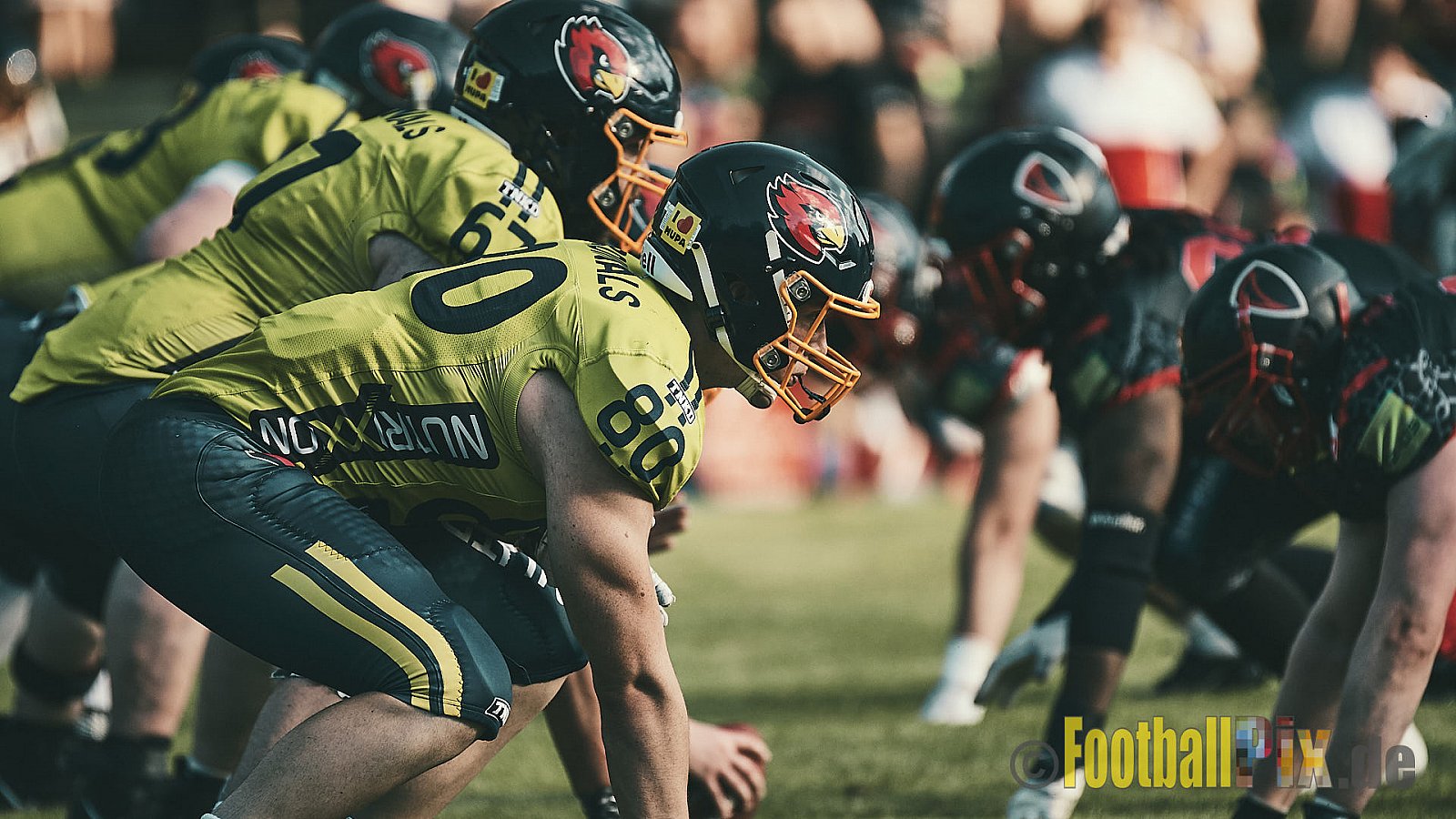 GFL2 Season 2022 Solingen Paladins vs. Assindia Cardinals am 2.07.2022 im Stadion Jahnkampfbahn Solingen, Adolf-Clarenbach-Straße 36, 42719 Solingen. Spiel Endstand 25 : 13. Bildnummer: 2022-07-02_0418 - SolingenPaladinsVsAssindiaCardinals