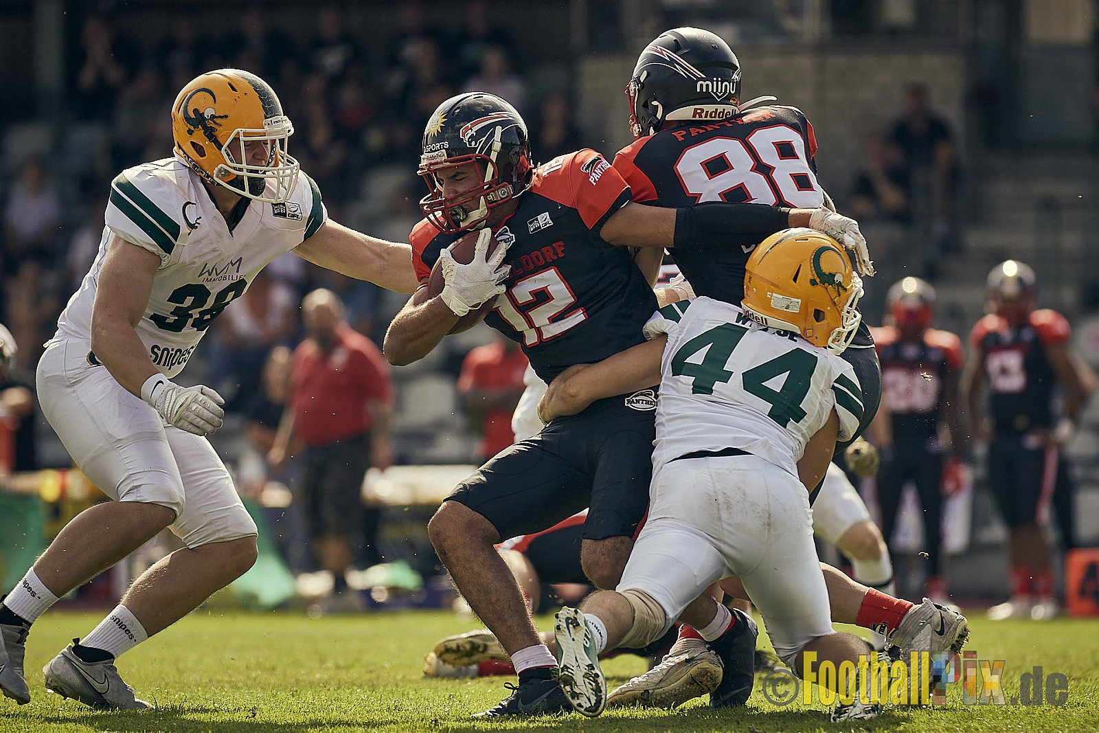 Spiel der GFL Season 2022 Düsseldorf Panther vs. Cologne Crocodiles am 20.08.2022 im Stadion VfL Benrath, Karl-Hohmann-Straße 70, 40597 Düsseldorf, Punkte Endstand 07 : 49.
[Bildnummer: 2022-08-20_0030] - DPantherVsCologneCrocodiles