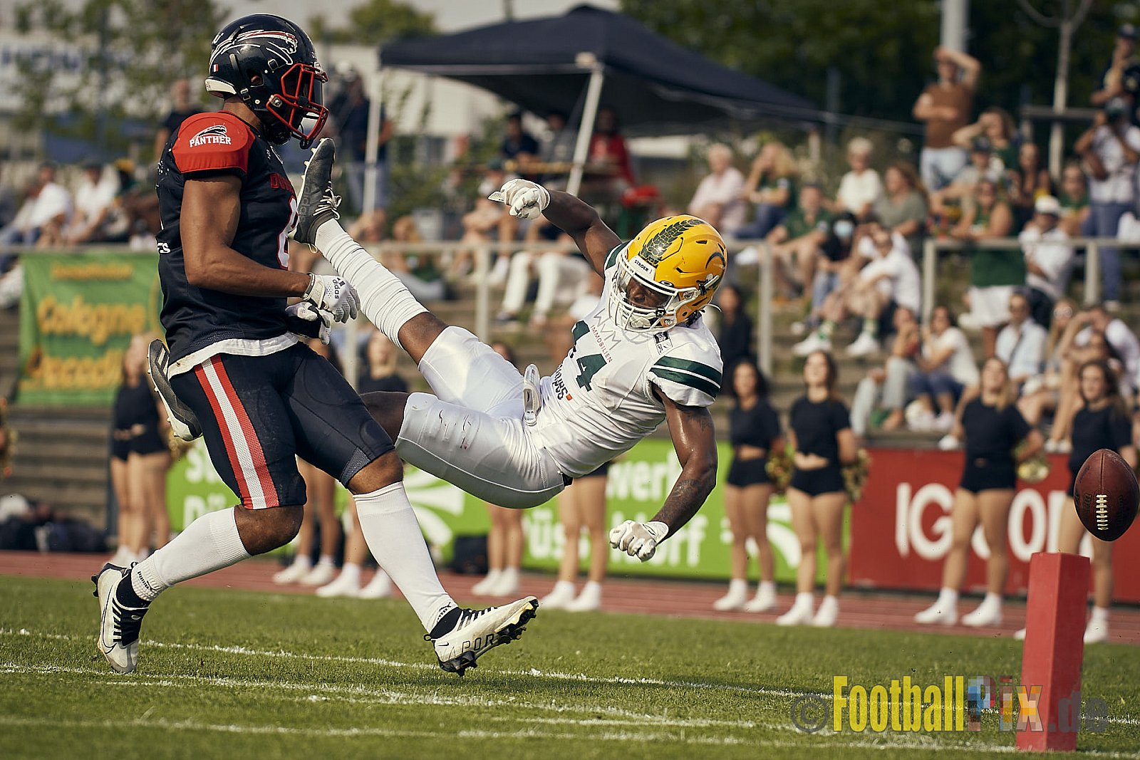 Spiel der GFL Season 2022 Düsseldorf Panther vs. Cologne Crocodiles am 20.08.2022 im Stadion VfL Benrath, Karl-Hohmann-Straße 70, 40597 Düsseldorf, Punkte Endstand 07 : 49.
[Bildnummer: 2022-08-20_0077] - DPantherVsCologneCrocodiles