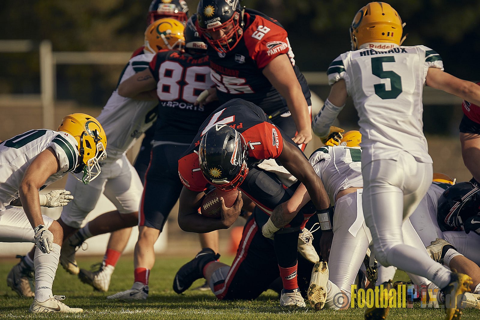 Spiel der GFL Season 2022 Düsseldorf Panther vs. Cologne Crocodiles am 20.08.2022 im Stadion VfL Benrath, Karl-Hohmann-Straße 70, 40597 Düsseldorf, Punkte Endstand 07 : 49.
[Bildnummer: 2022-08-20_0236] - DPantherVsCologneCrocodiles