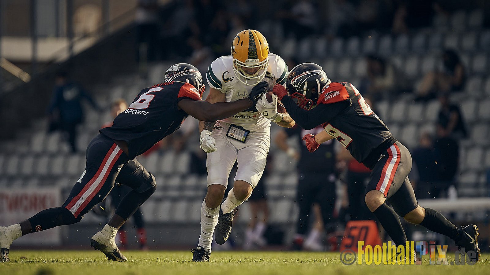Spiel der GFL Season 2022 Düsseldorf Panther vs. Cologne Crocodiles am 20.08.2022 im Stadion VfL Benrath, Karl-Hohmann-Straße 70, 40597 Düsseldorf, Punkte Endstand 07 : 49.
[Bildnummer: 2022-08-20_0335] - DPantherVsCologneCrocodiles